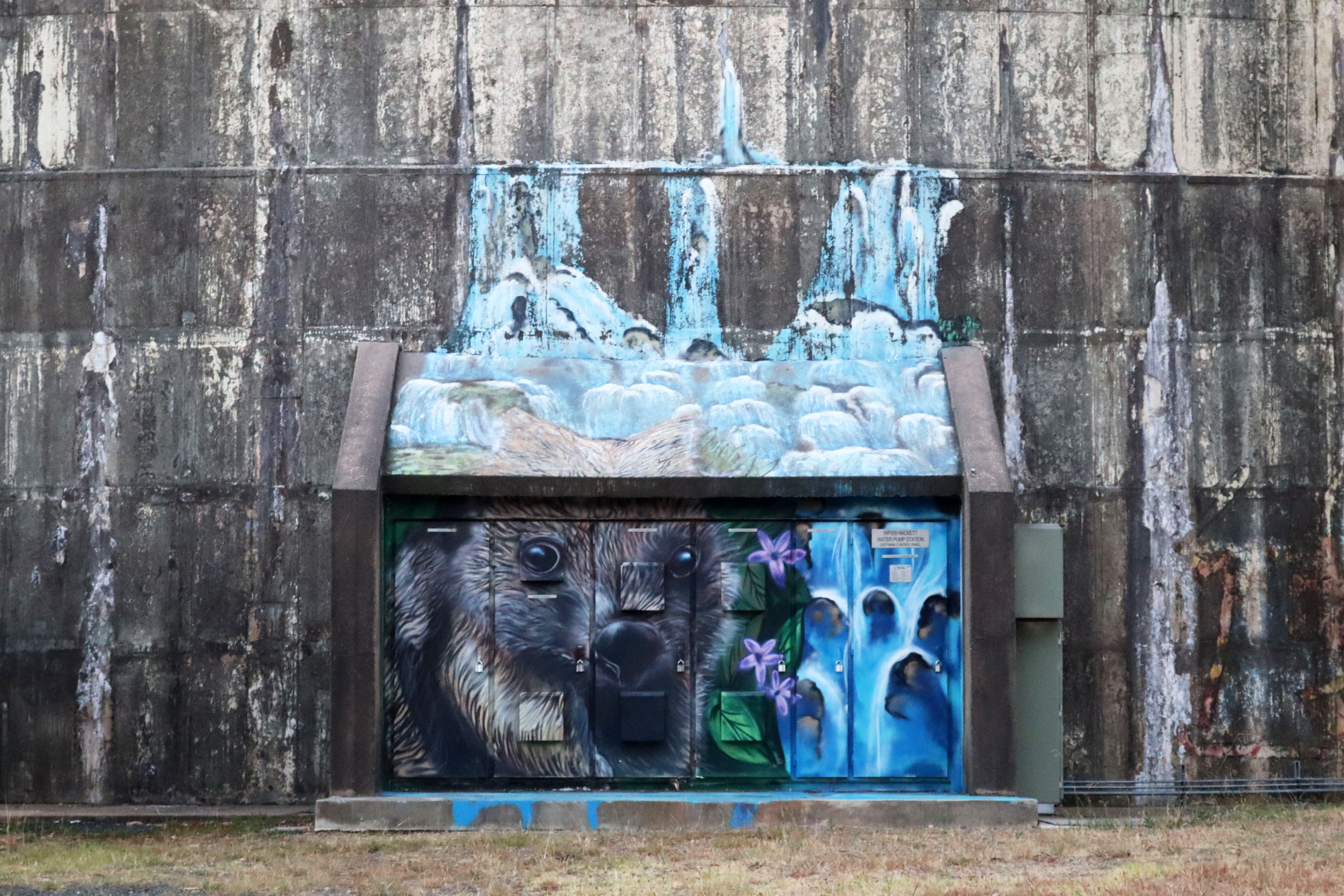 Untitled by GraffikPaint | Street Art NSW