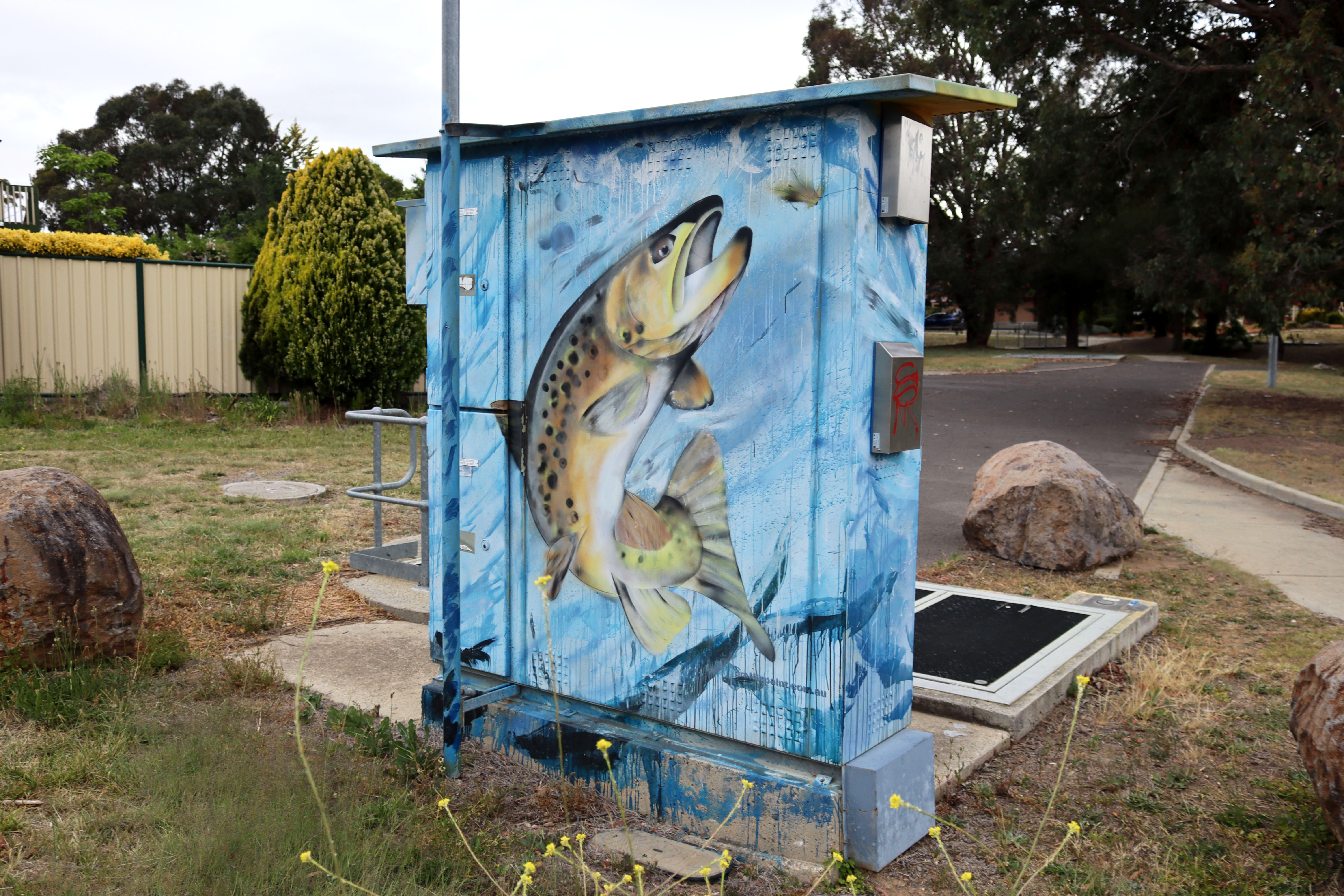 Untitled by GraffikPaint | Street Art NSW