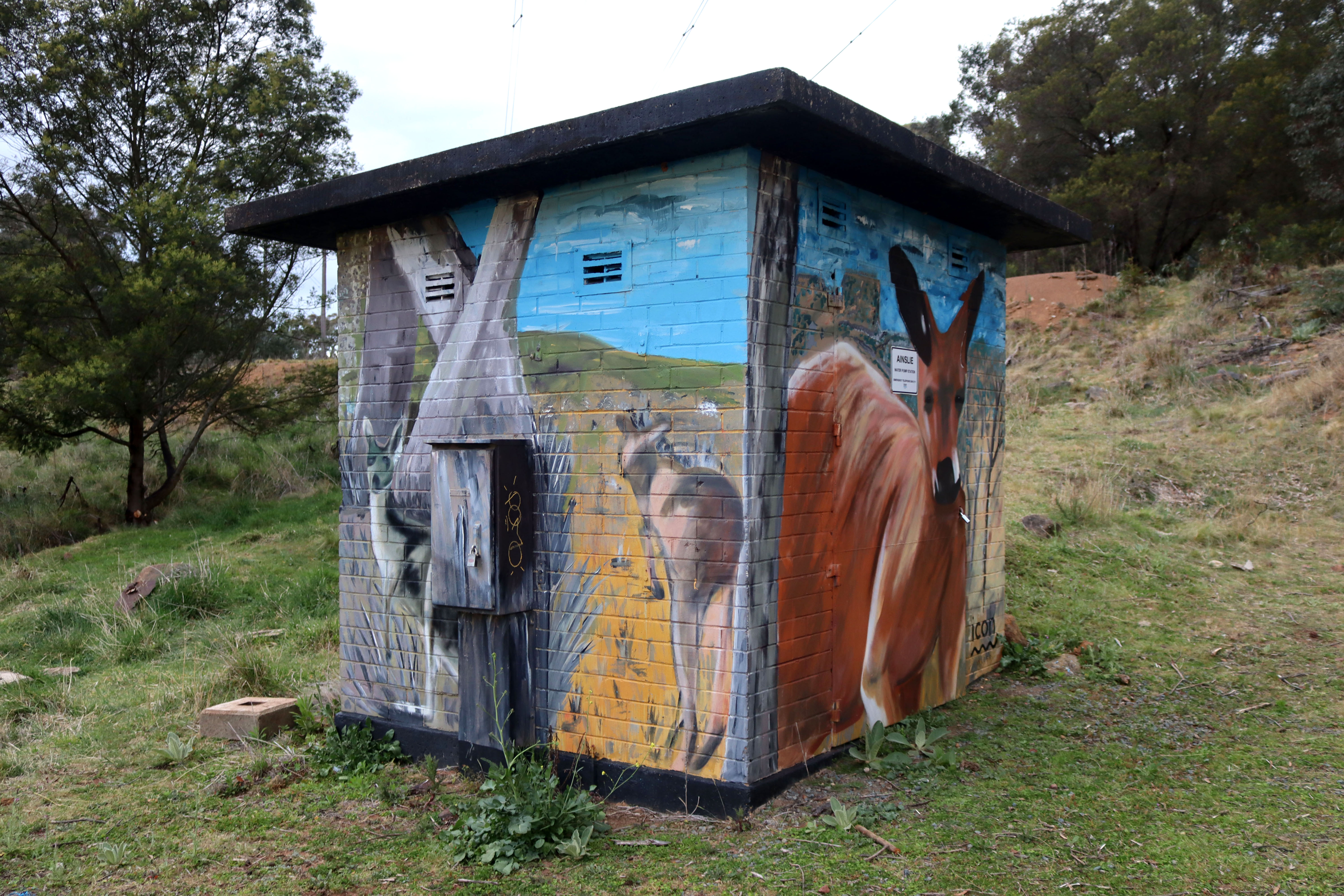 Ainslie Water Pump Station by GraffikPaint | Street Art NSW