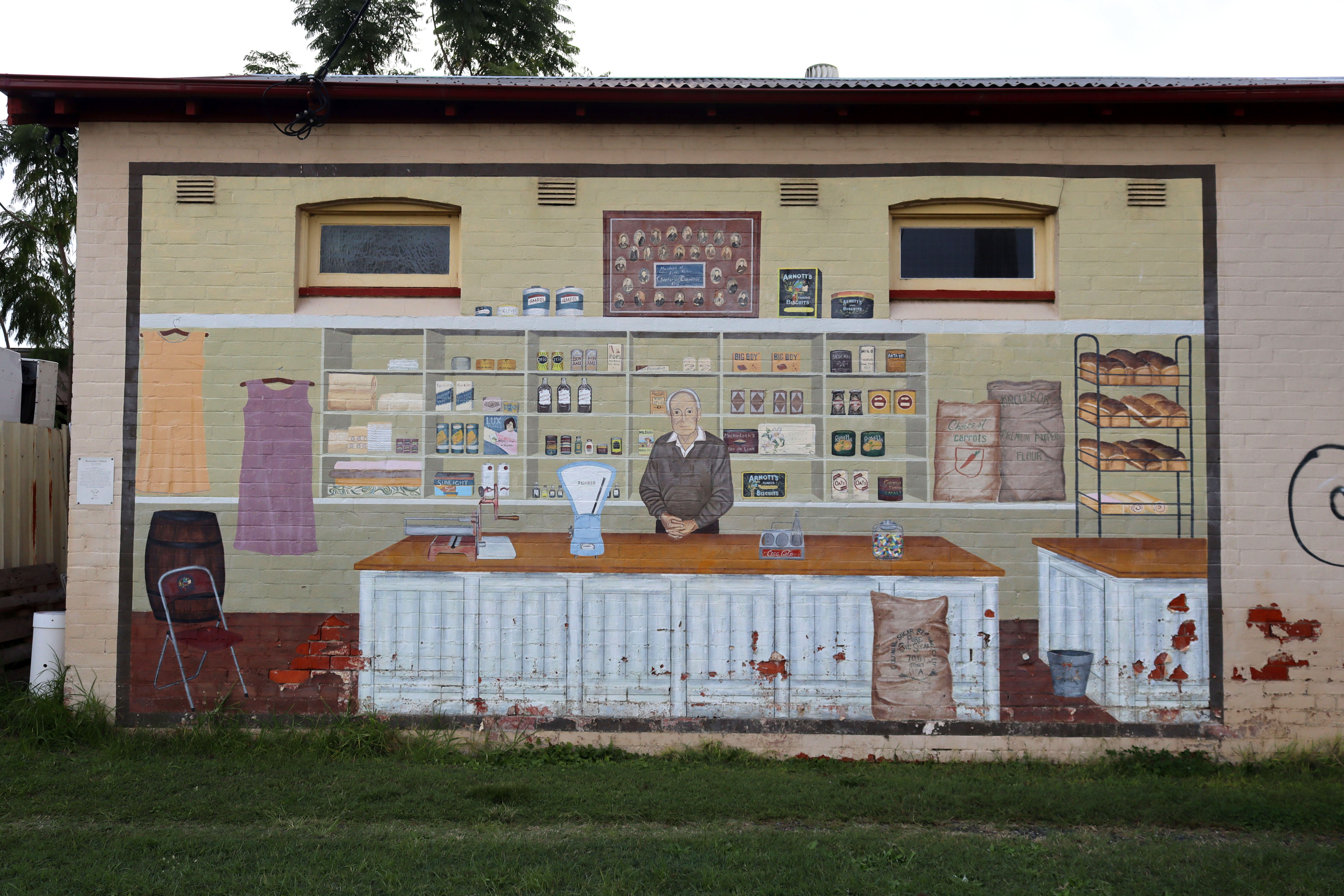 Bickmore's Mural by Cindy Staley | Street Art NSW