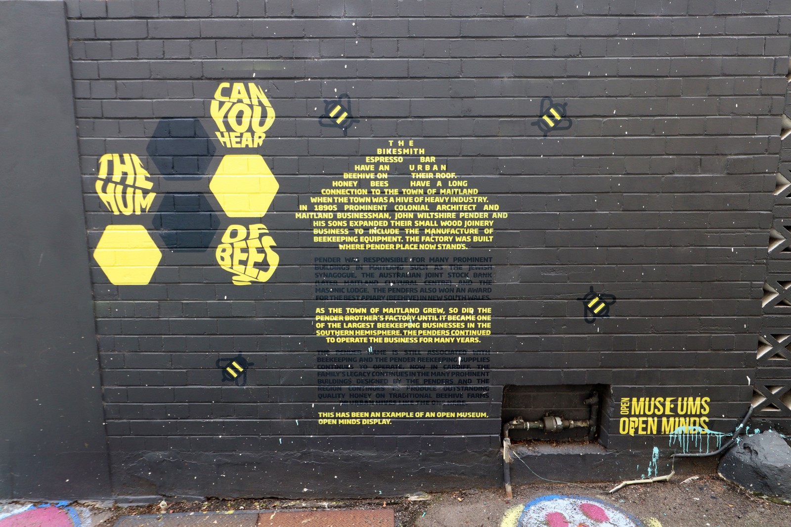 Can You Hear the Hum of the Bees | Street Art NSW