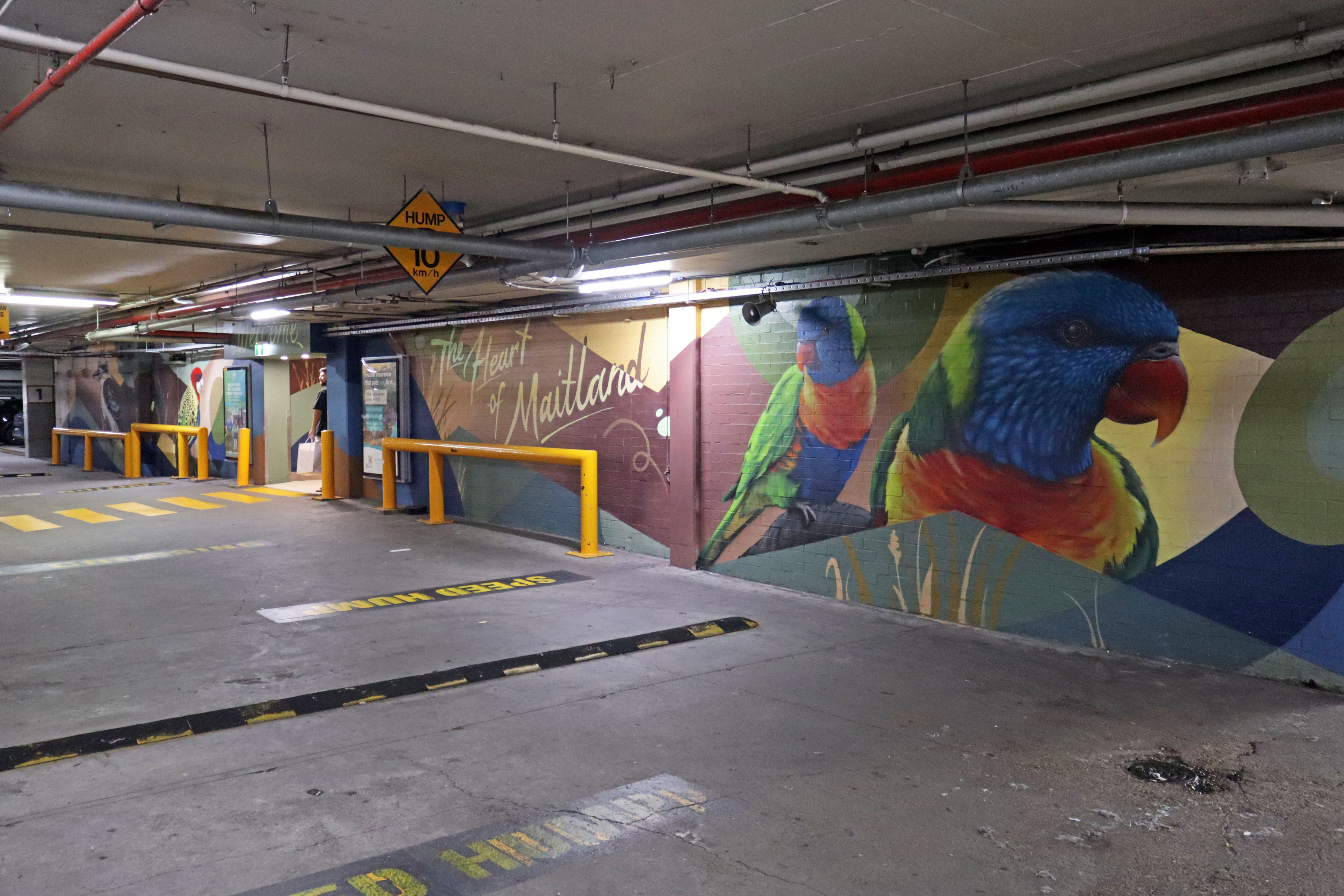 The Heart of Maitland by Jordan Lucky | Street Art NSW