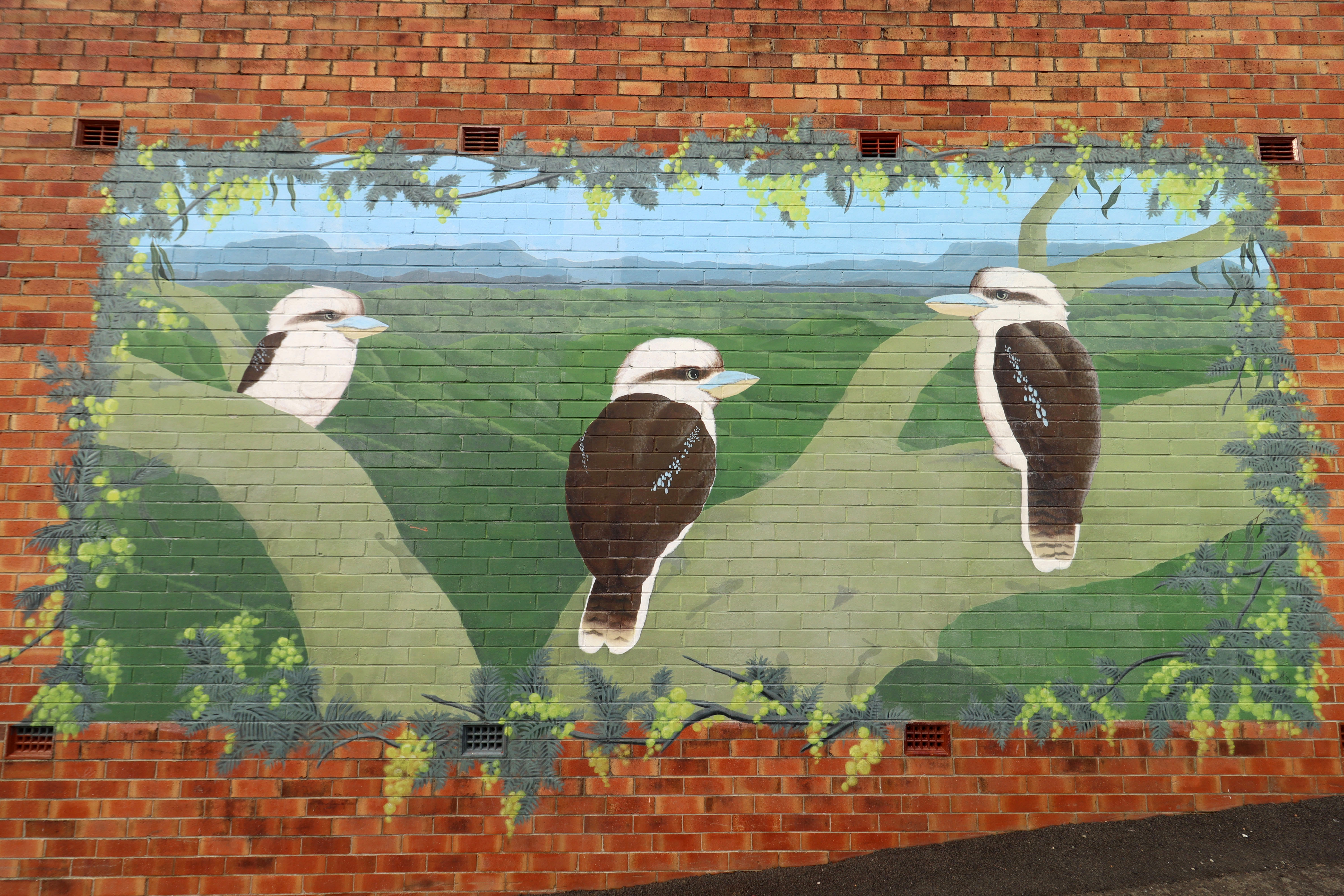 Kookaburra Mural