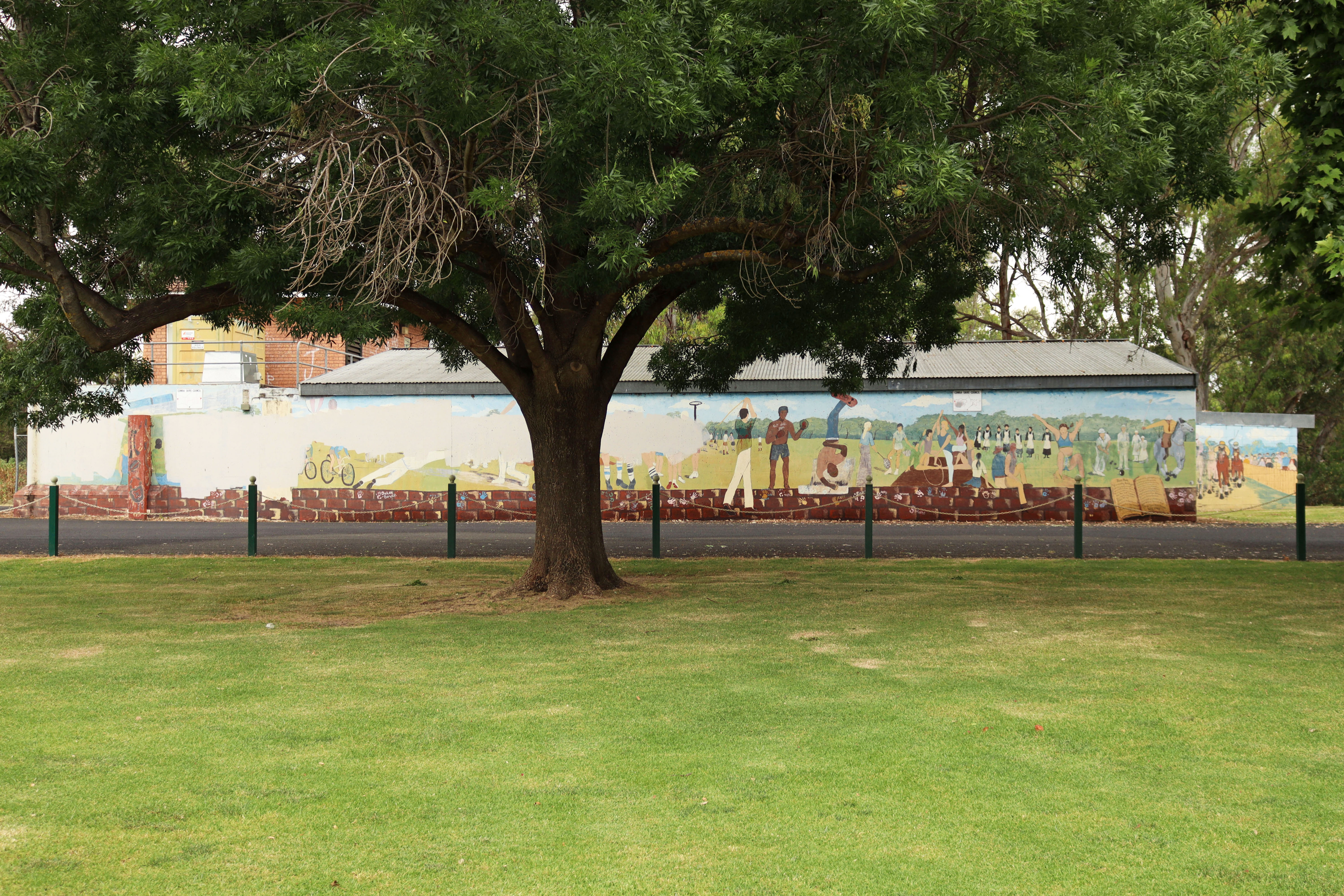 River Park Community Art Project by Karin Duce | Street Art NSW