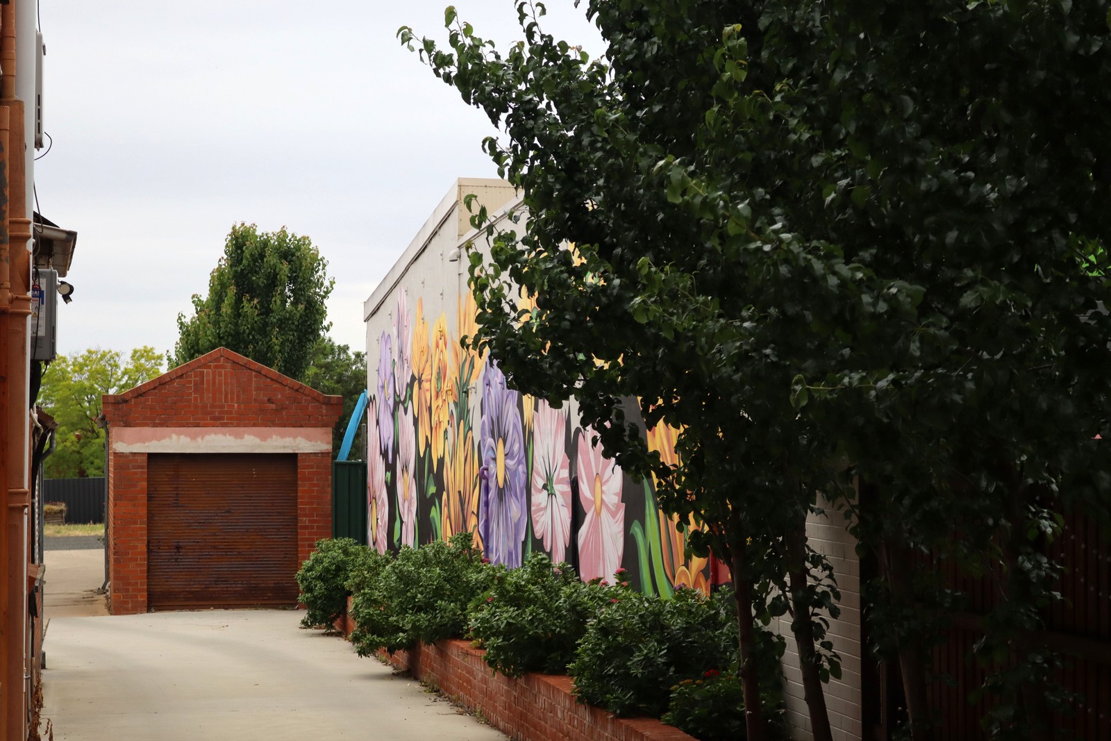 Untitled by Saige Davies | Street Art NSW