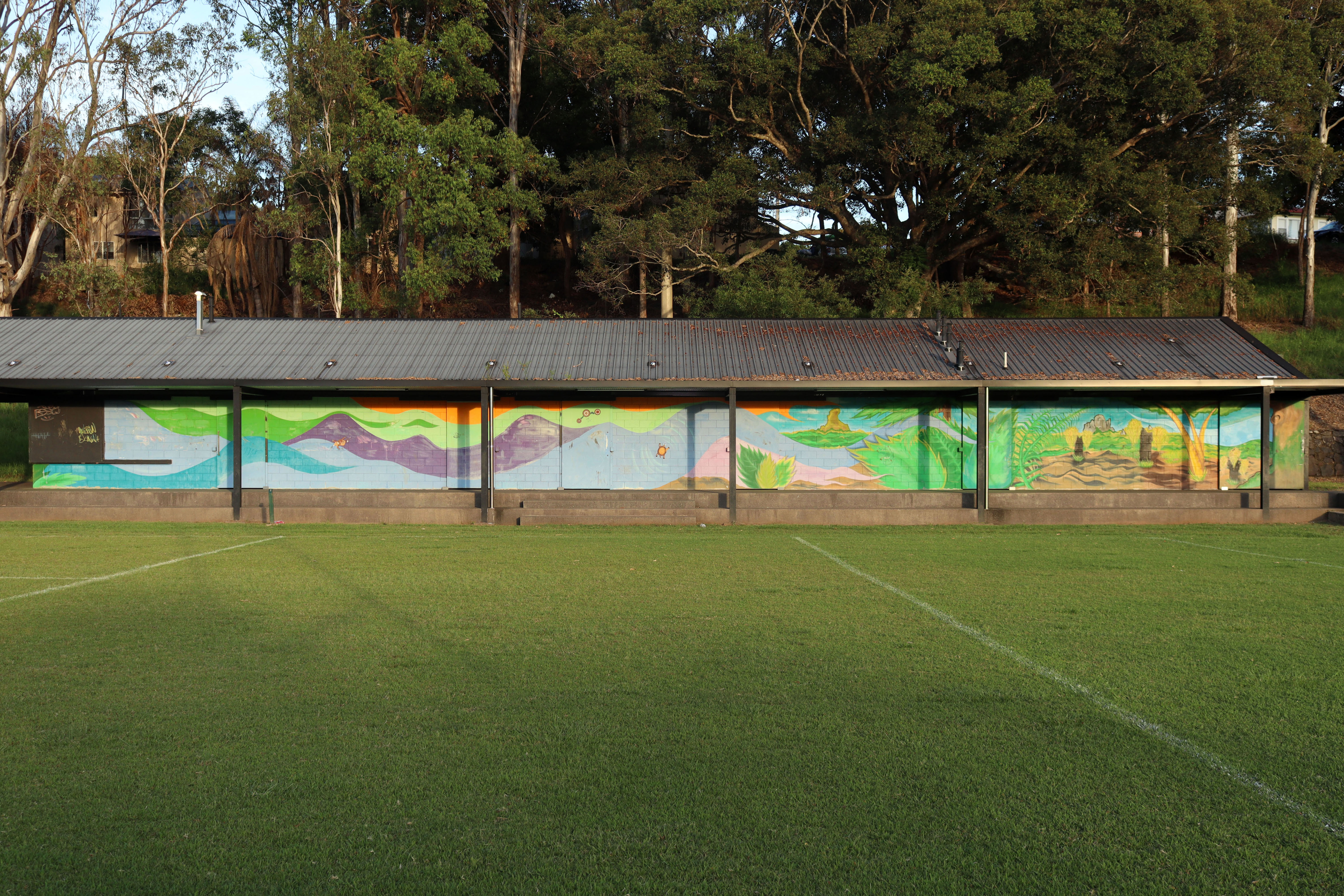 Untitled | Street Art NSW