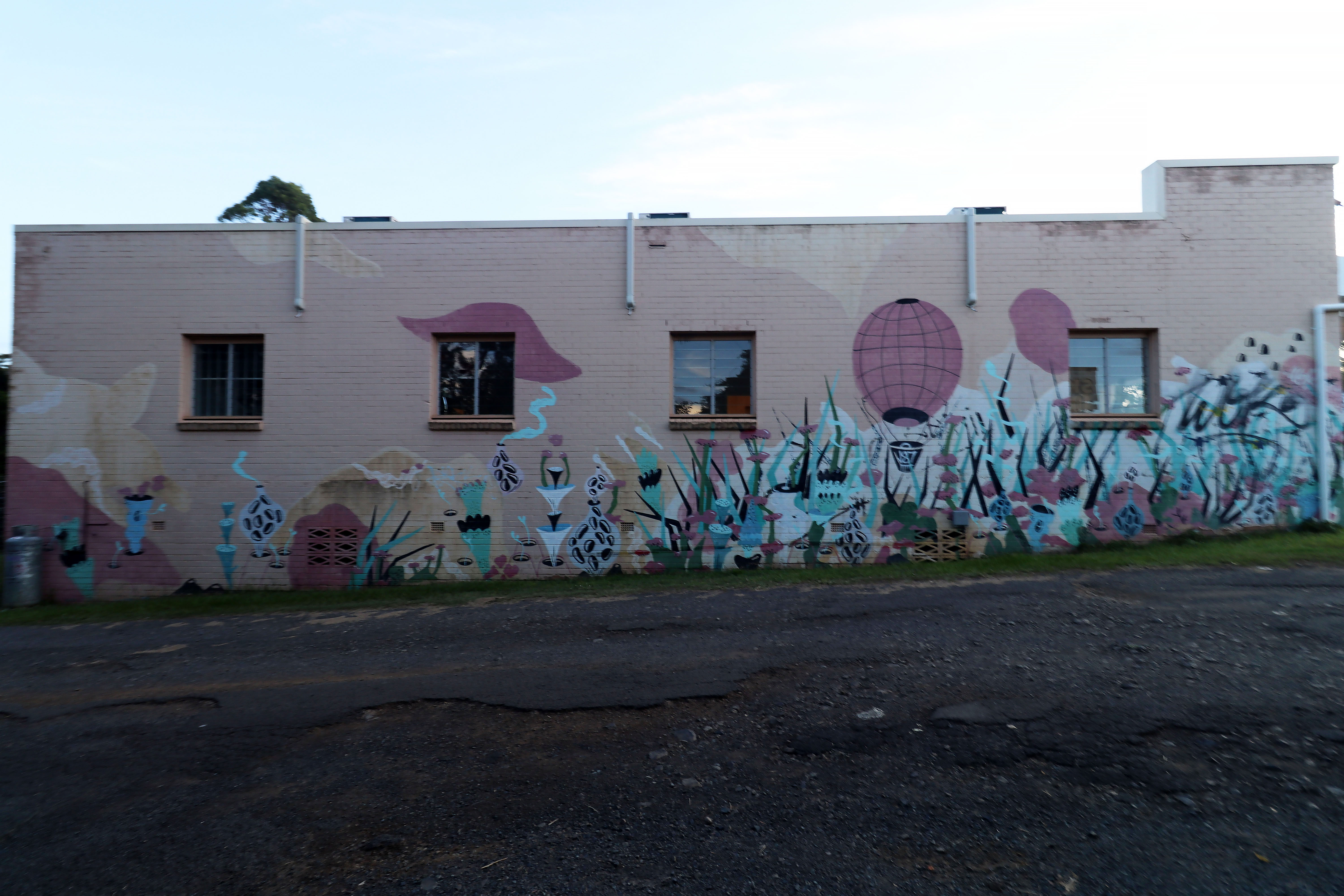 Floral Coral Wall by Studio Dennis | Street Art NSW