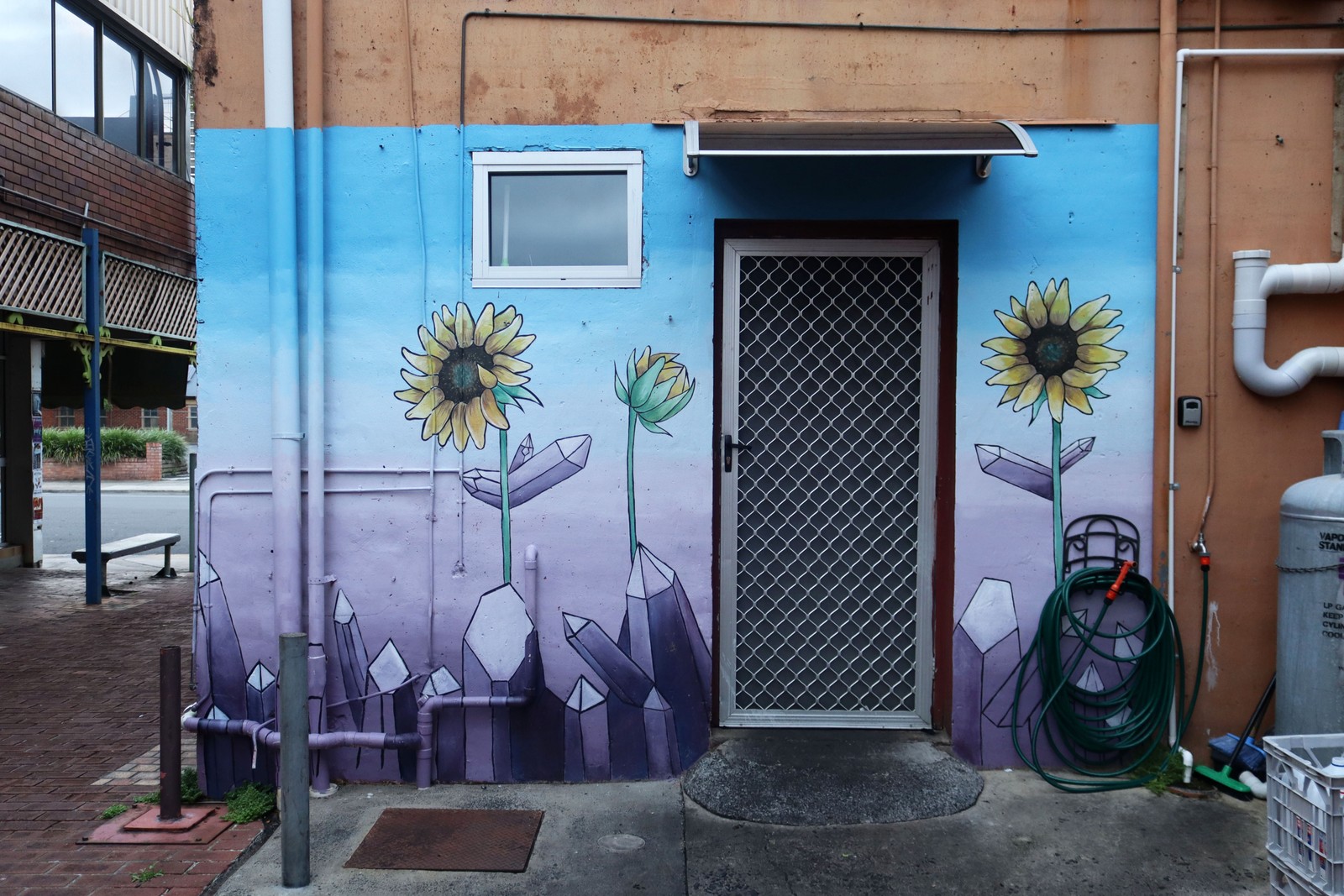 Untitled by Carly O'Connell | Street Art NSW