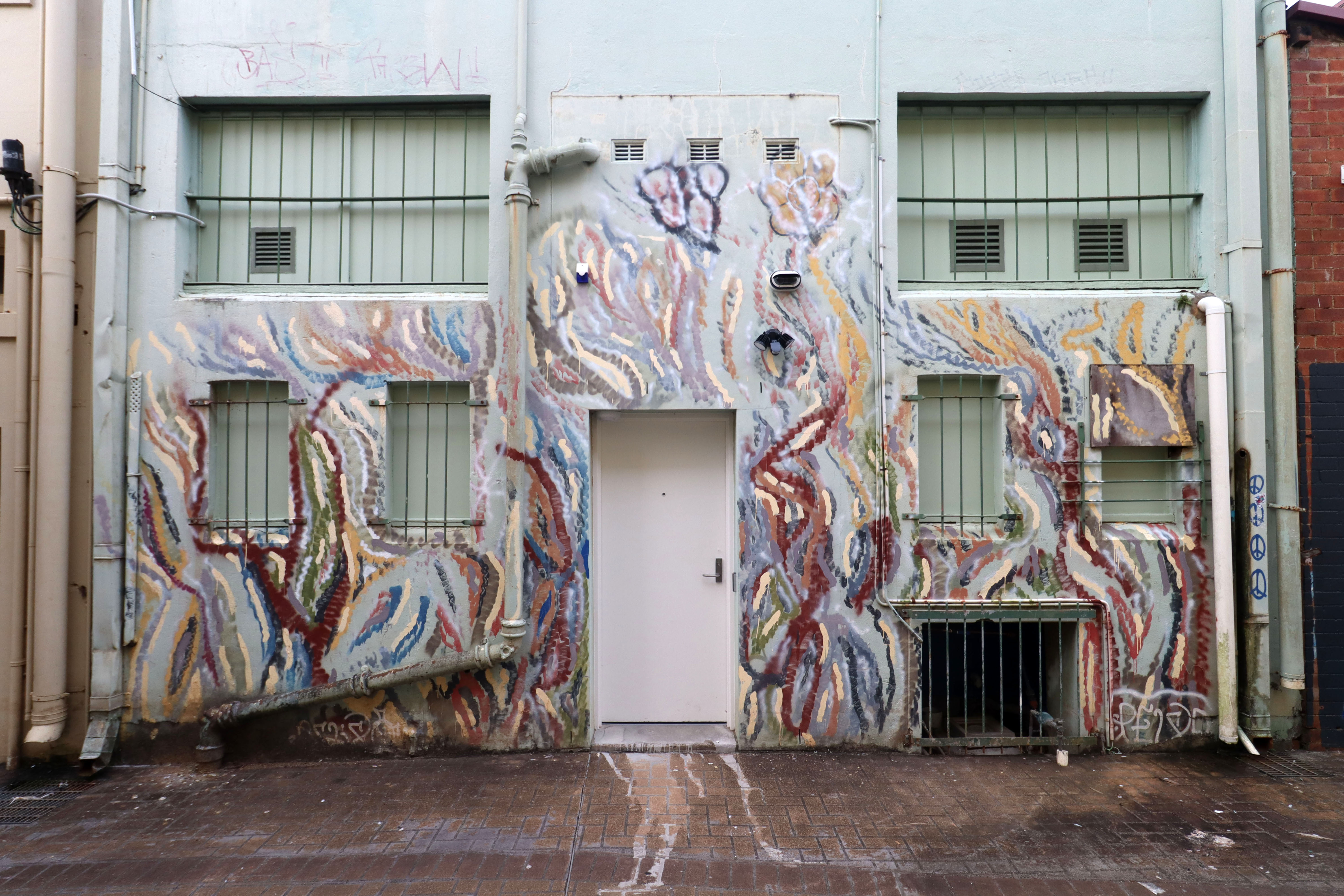 Untitled | Street Art NSW