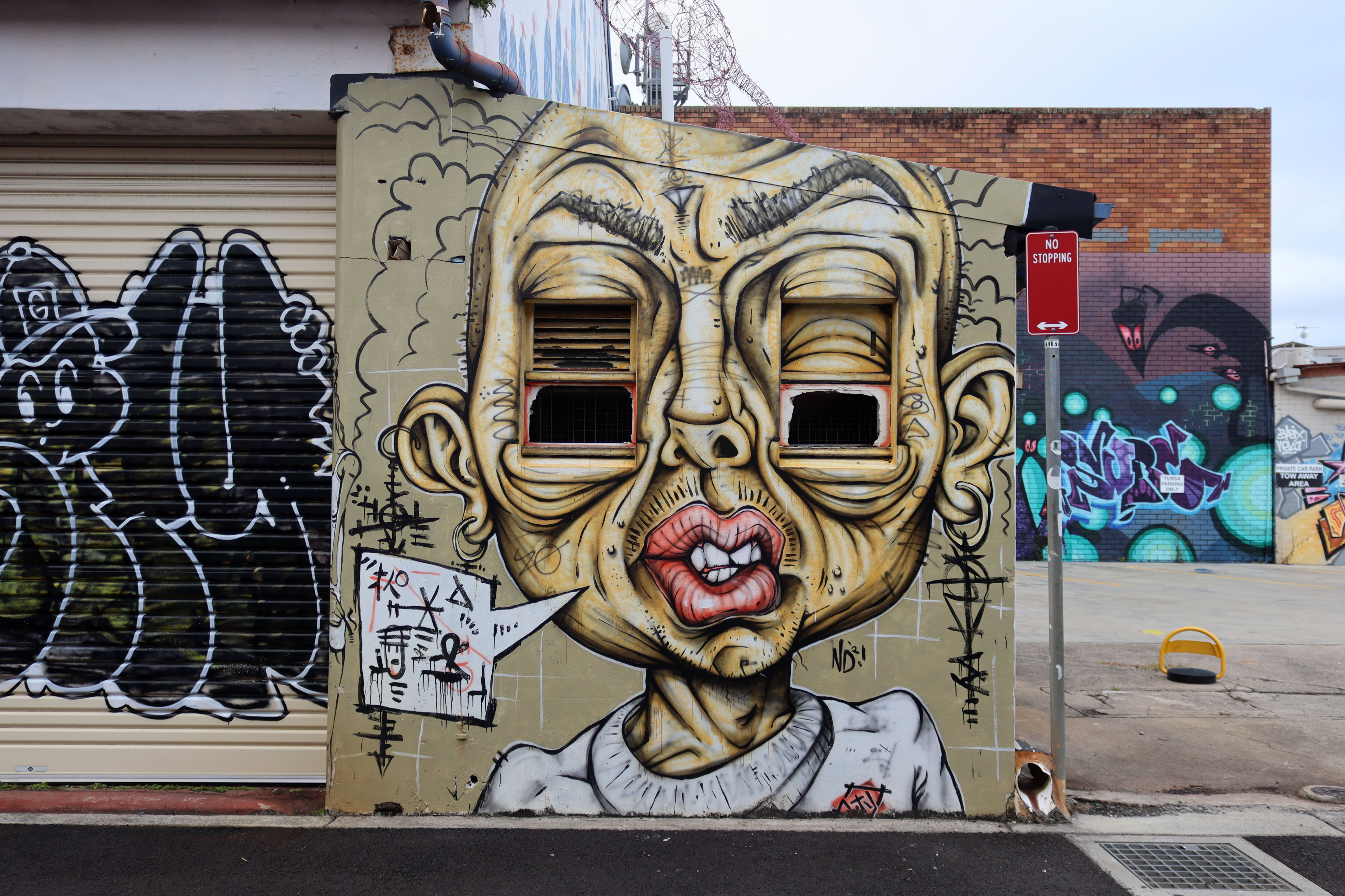 Untitled by Nathan Dawson | Street Art NSW