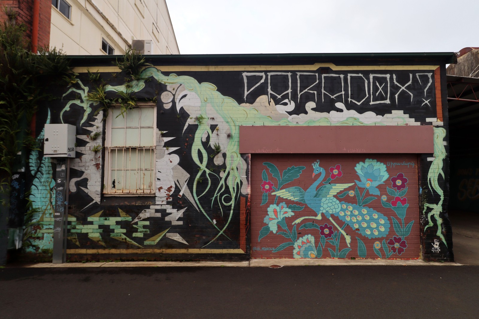 Paradox? | Street Art NSW