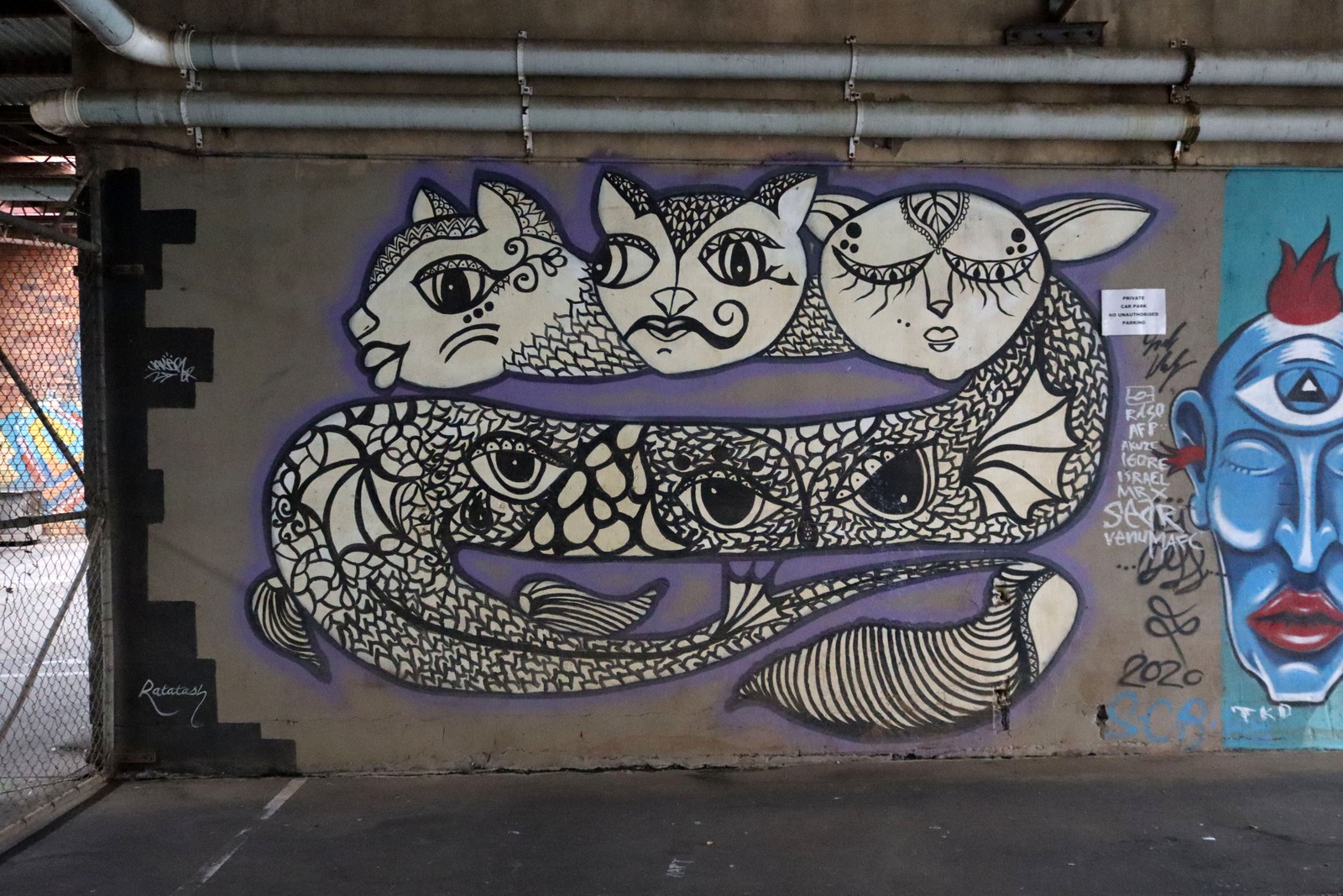 Untitled by Ratatash | Street Art NSW