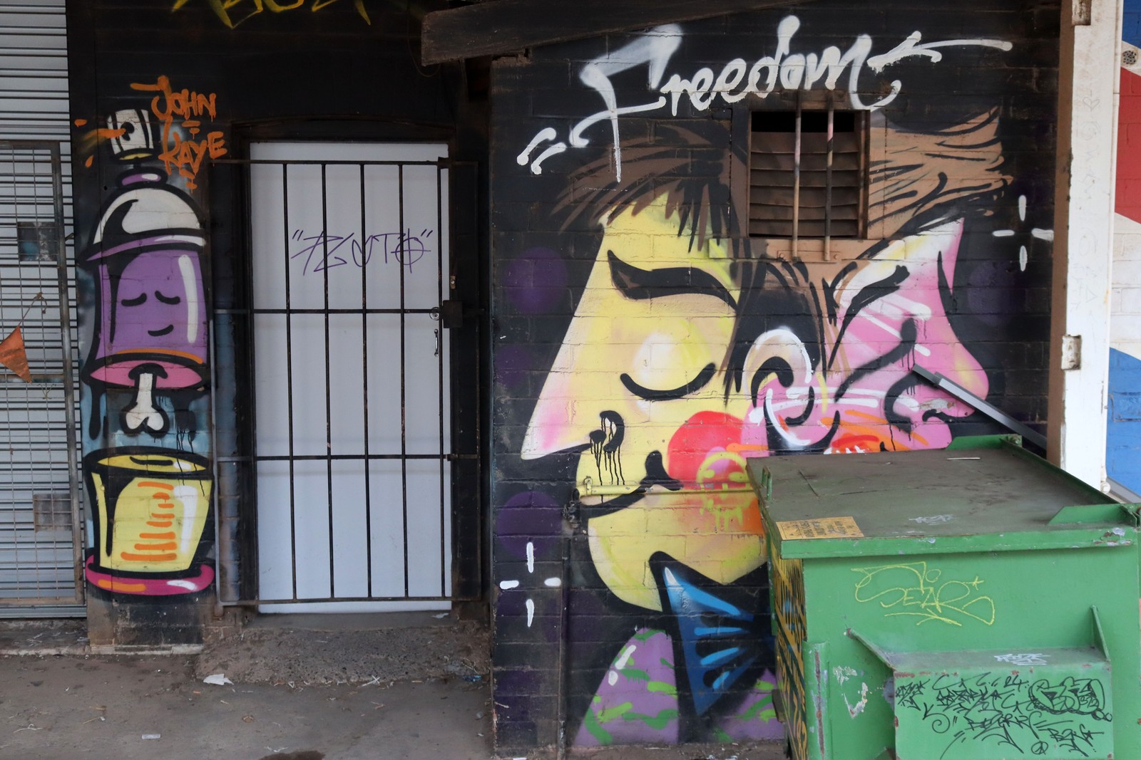 Freedom by John Kaye | Street Art NSW