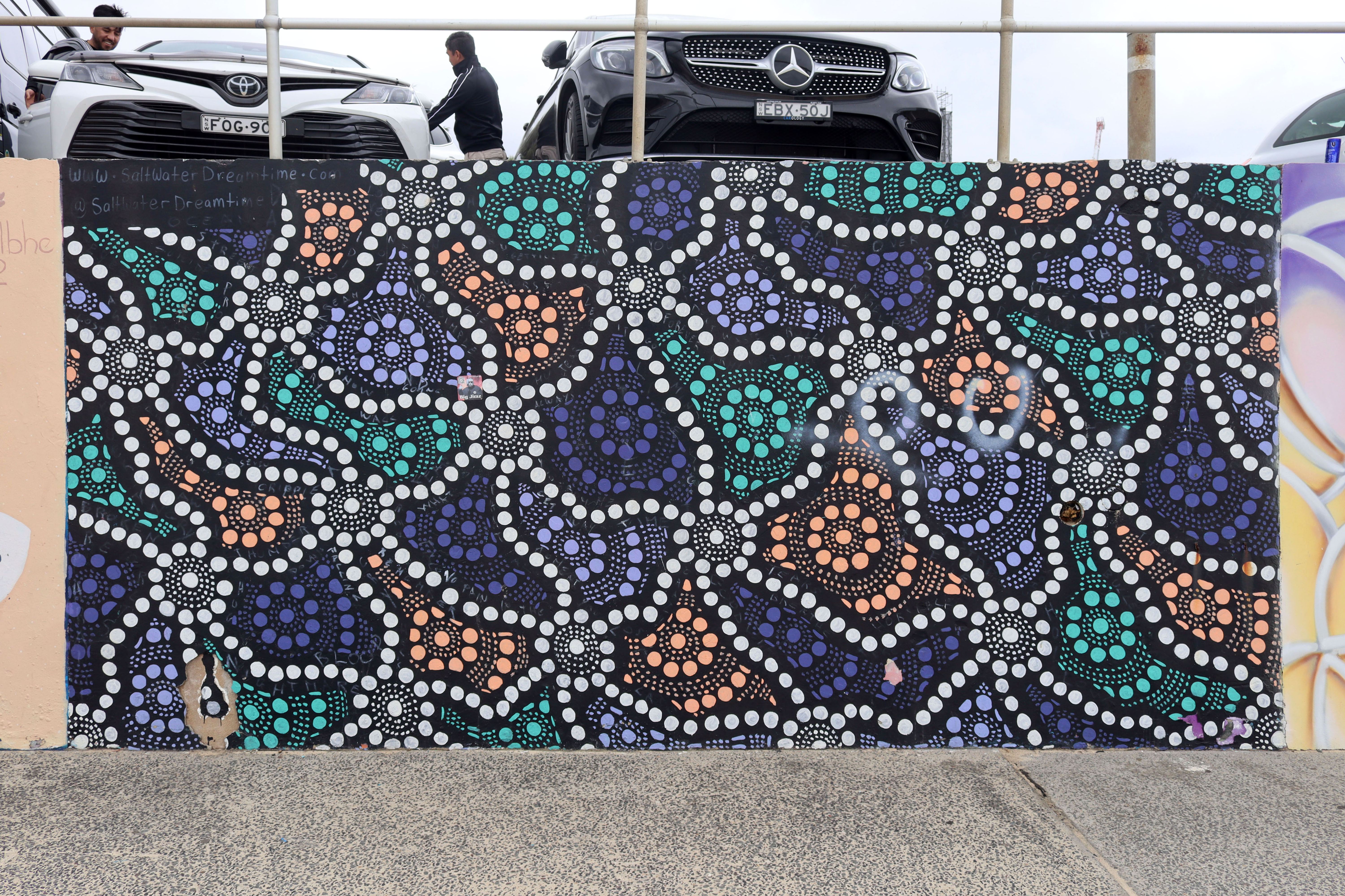 Travelling by Saltwater Dreamtime | Street Art NSW