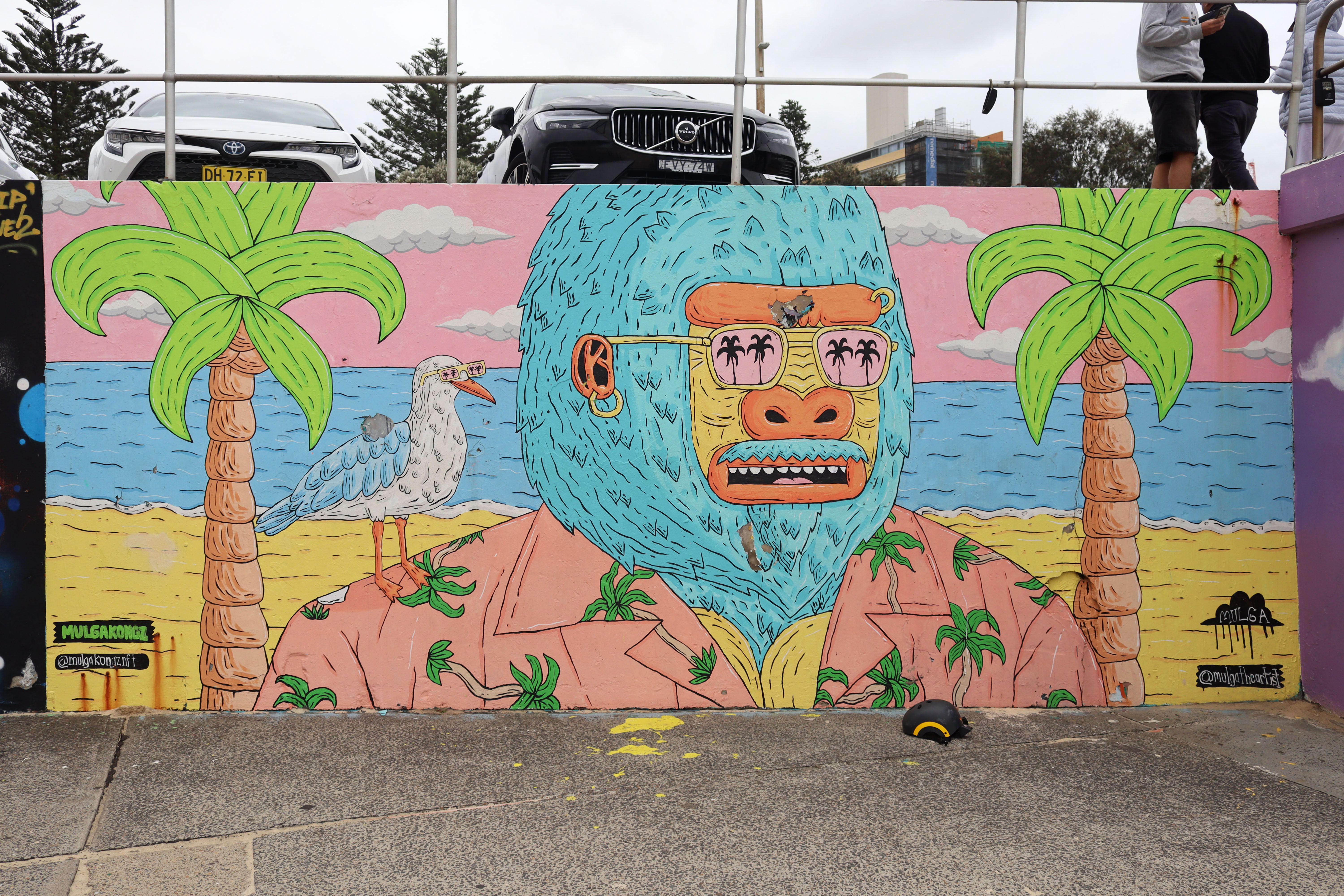MulgaKongz by Mulga | Street Art NSW