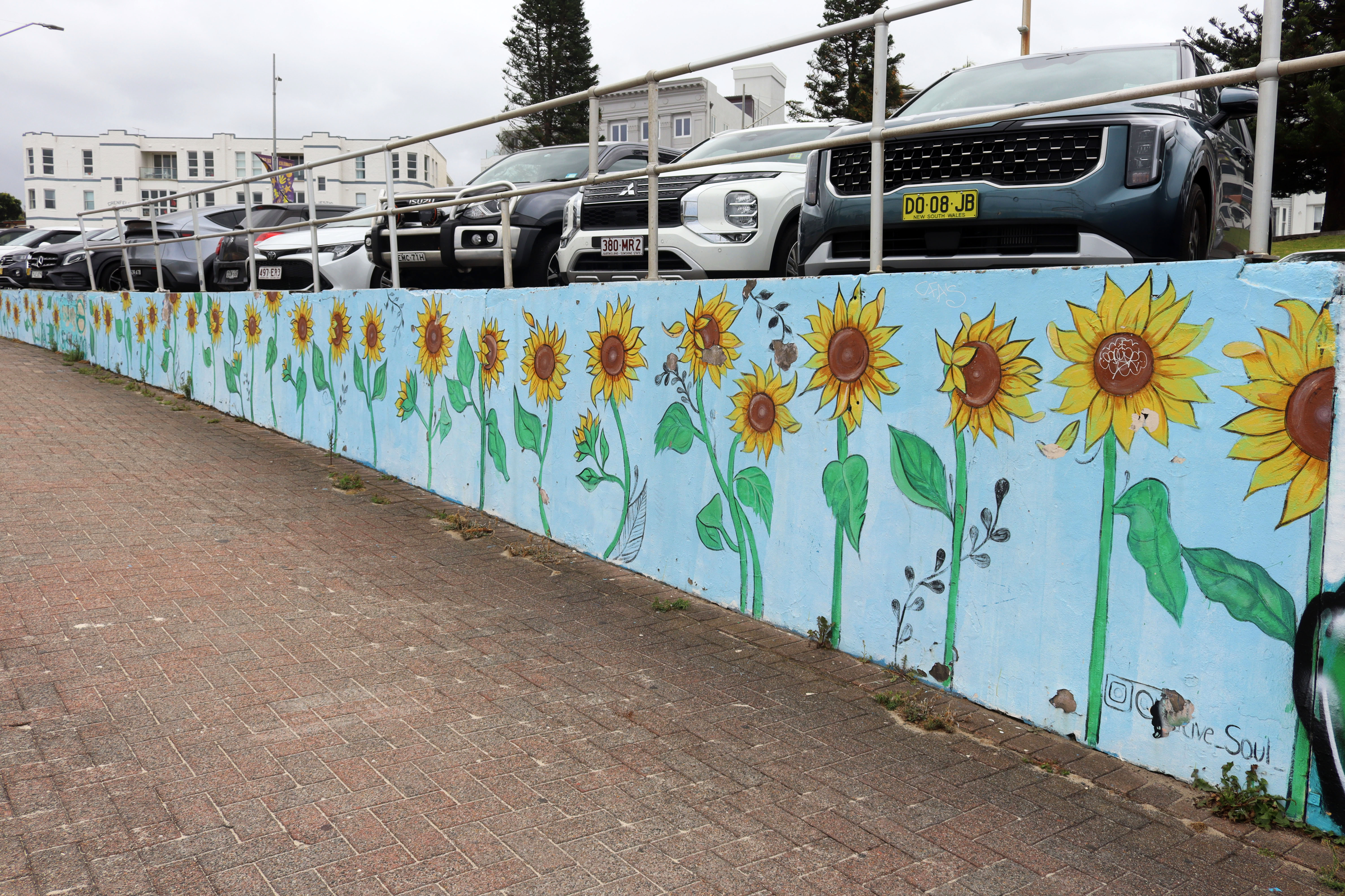 Sunflowers by Kaína Morais | Street Art NSW
