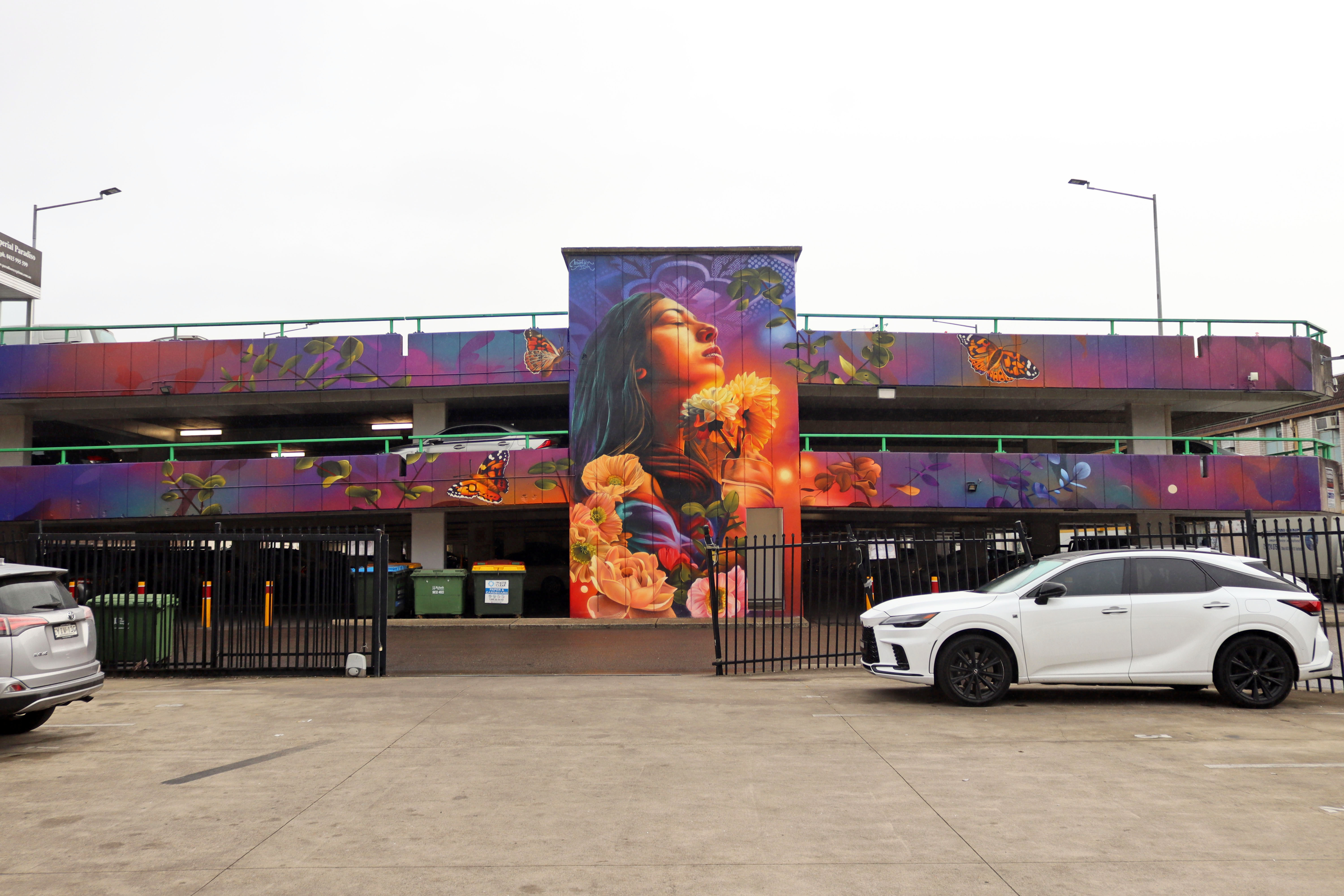 Nelson Street Car Park Mural by Mountain Ash Creative | Street Art NSW