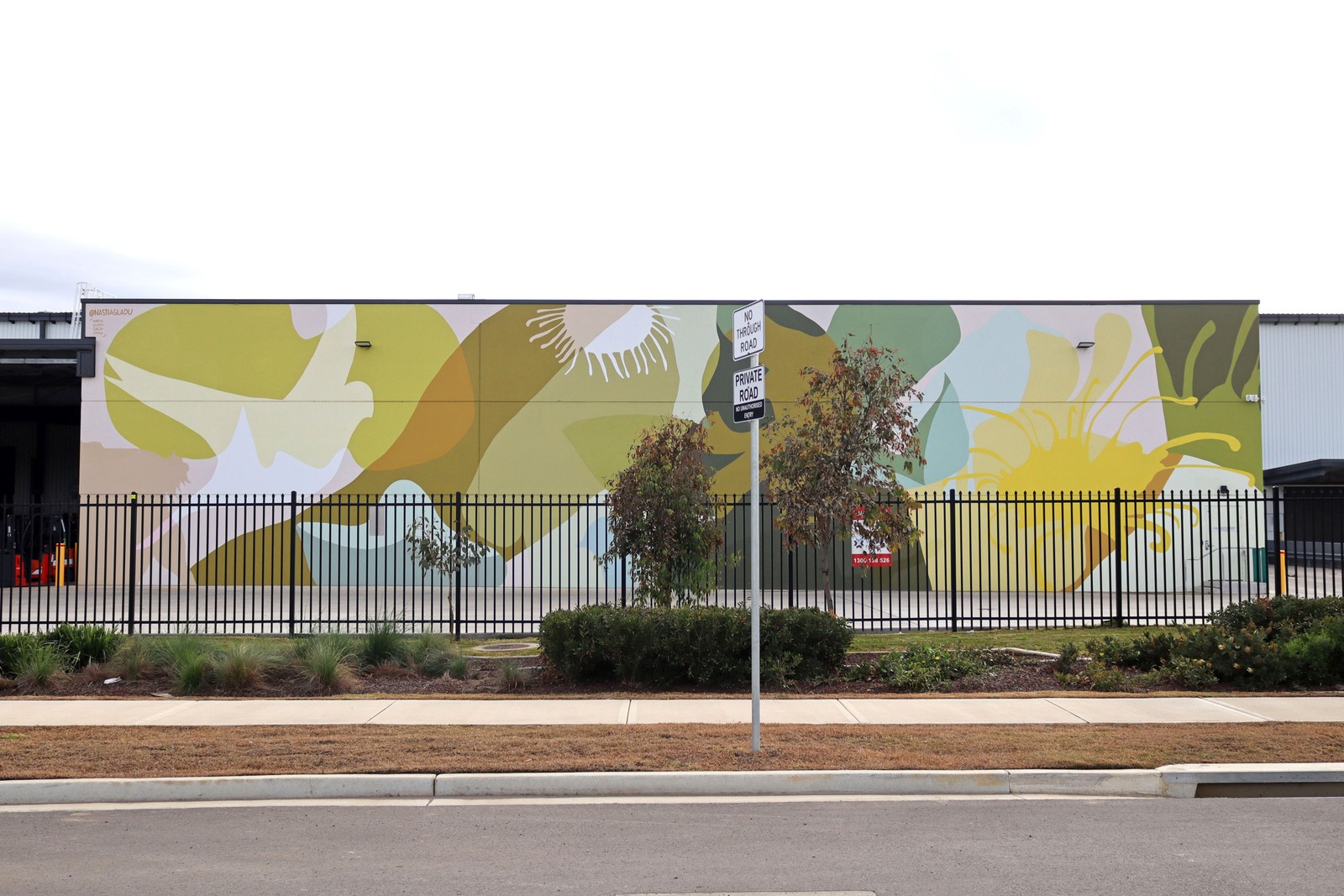 Resonance by Nastia Gladushchenko | Street Art NSW
