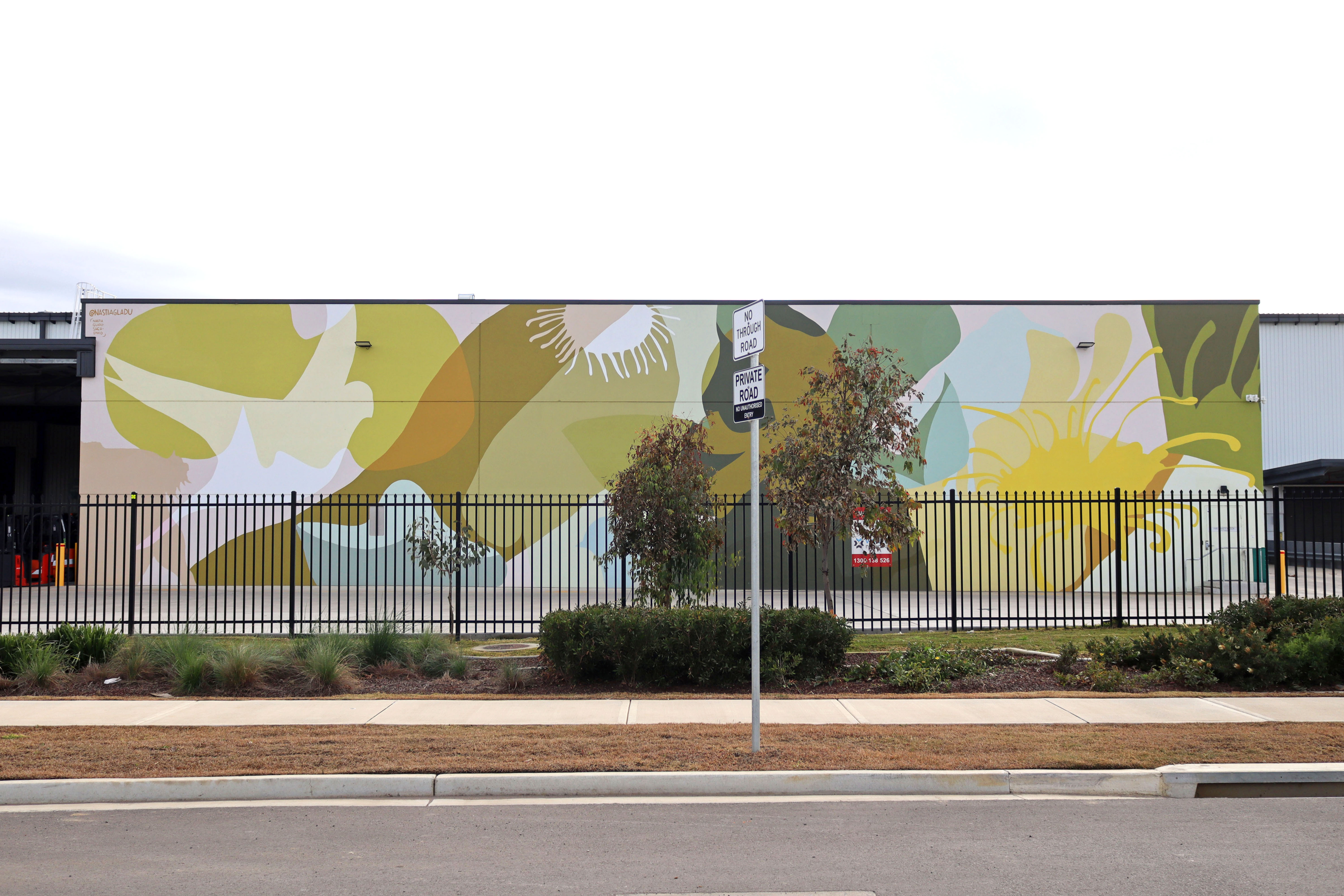 Resonance by Nastia Gladushchenko | Street Art NSW