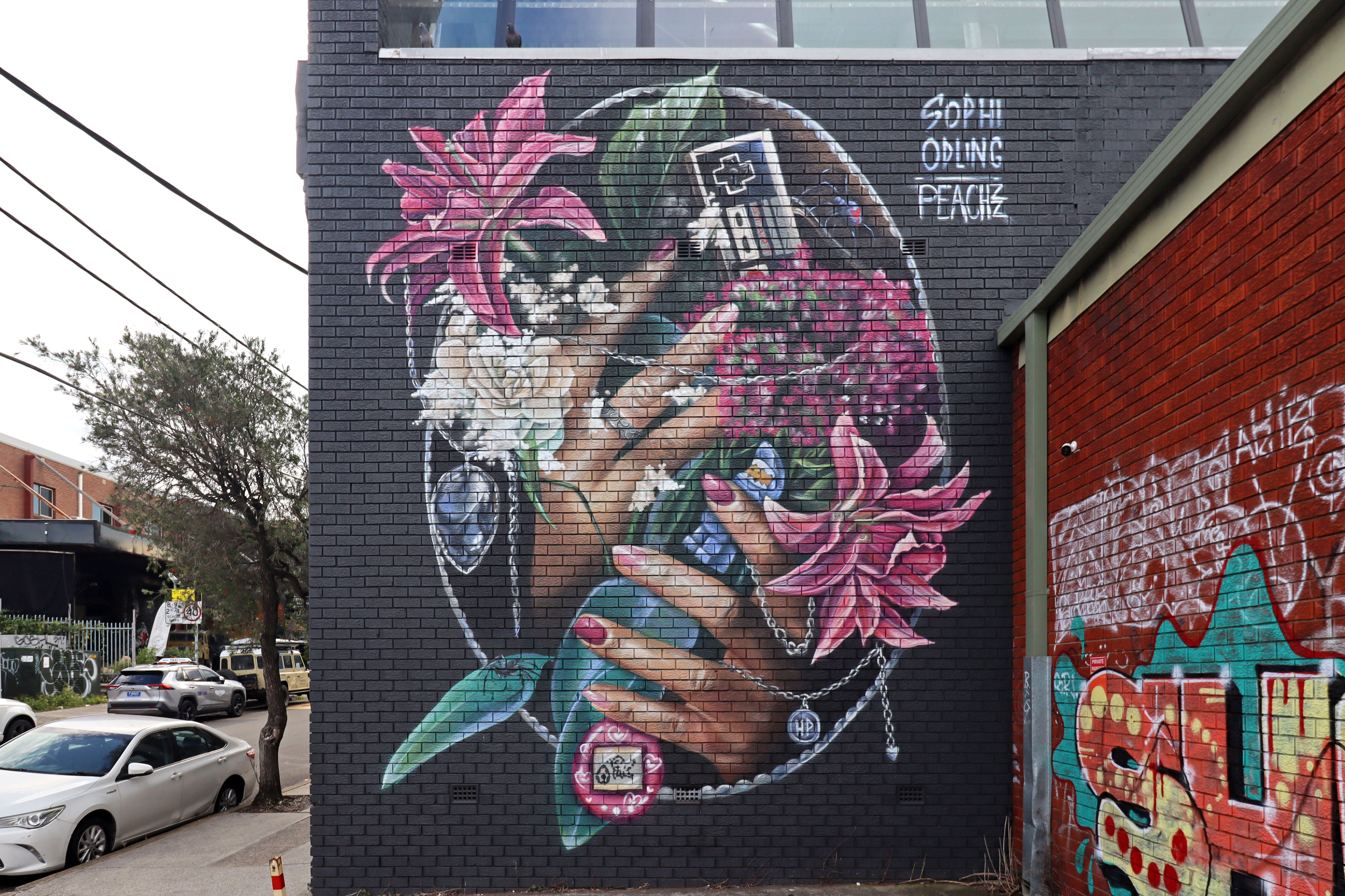 Smell the Roses by Peachzz | Street Art NSW