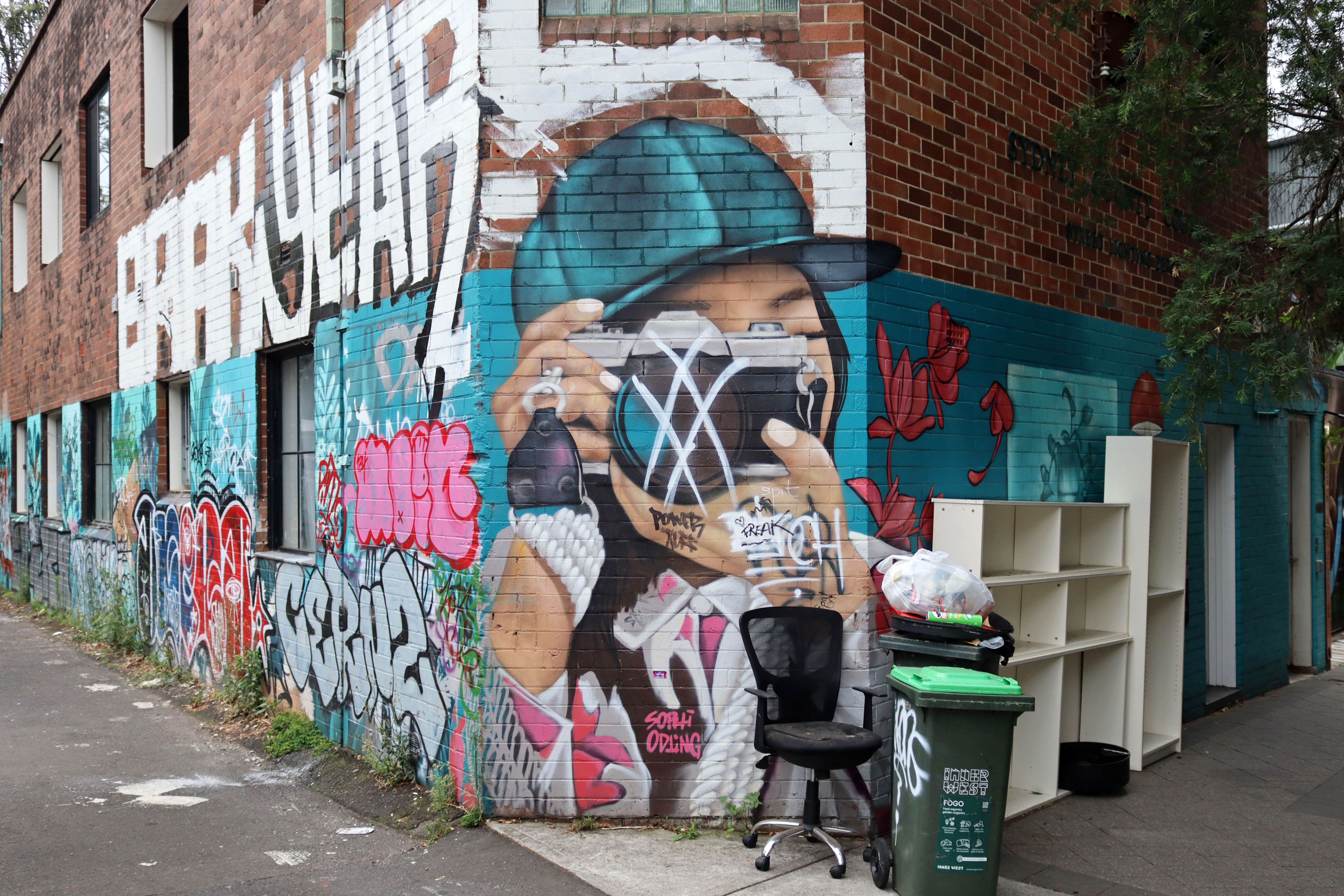 Untitled by Sophi Odling | Street Art NSW