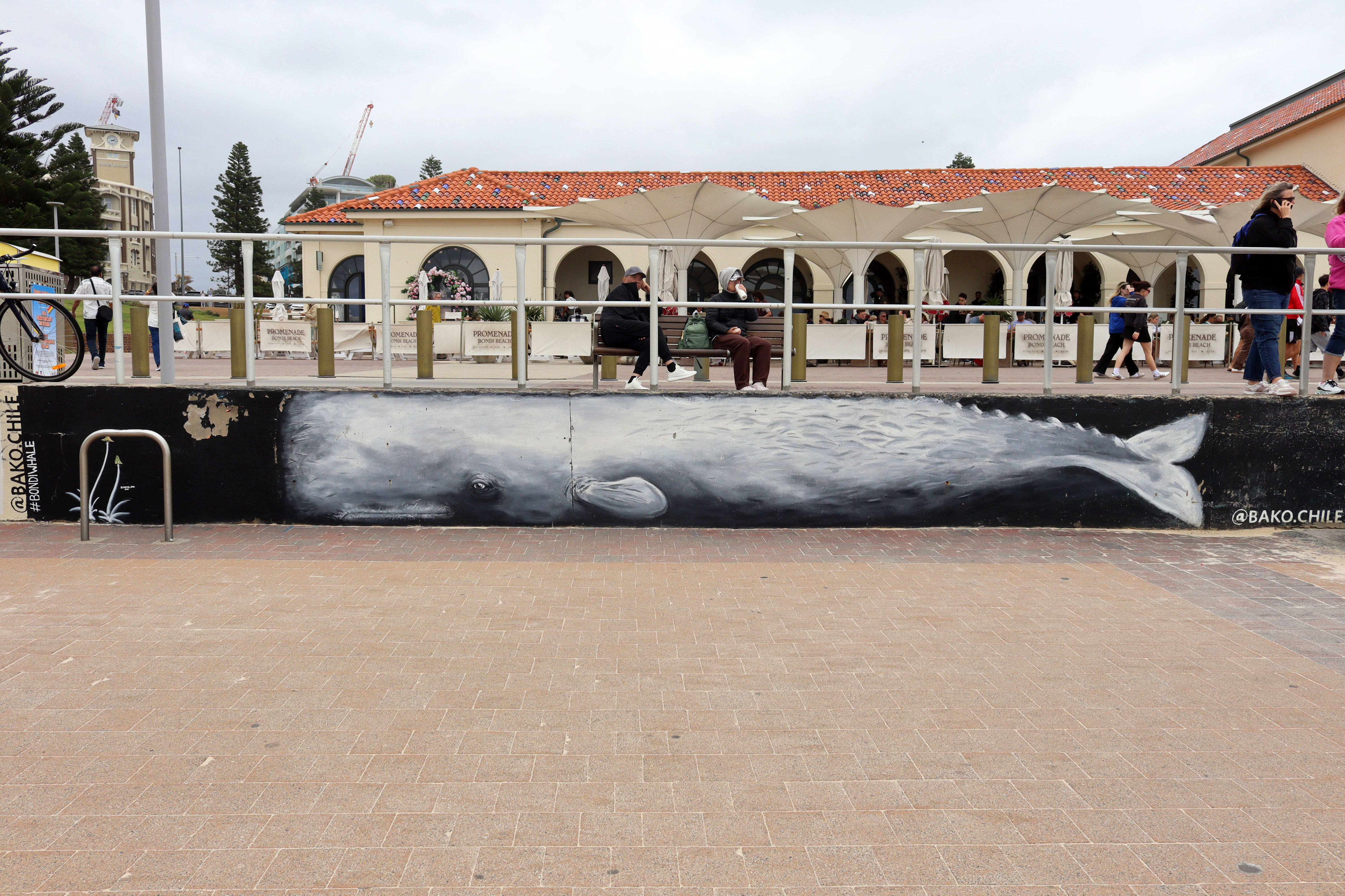 #BONDIWHALE by Juampi Bascuñán | Street Art NSW