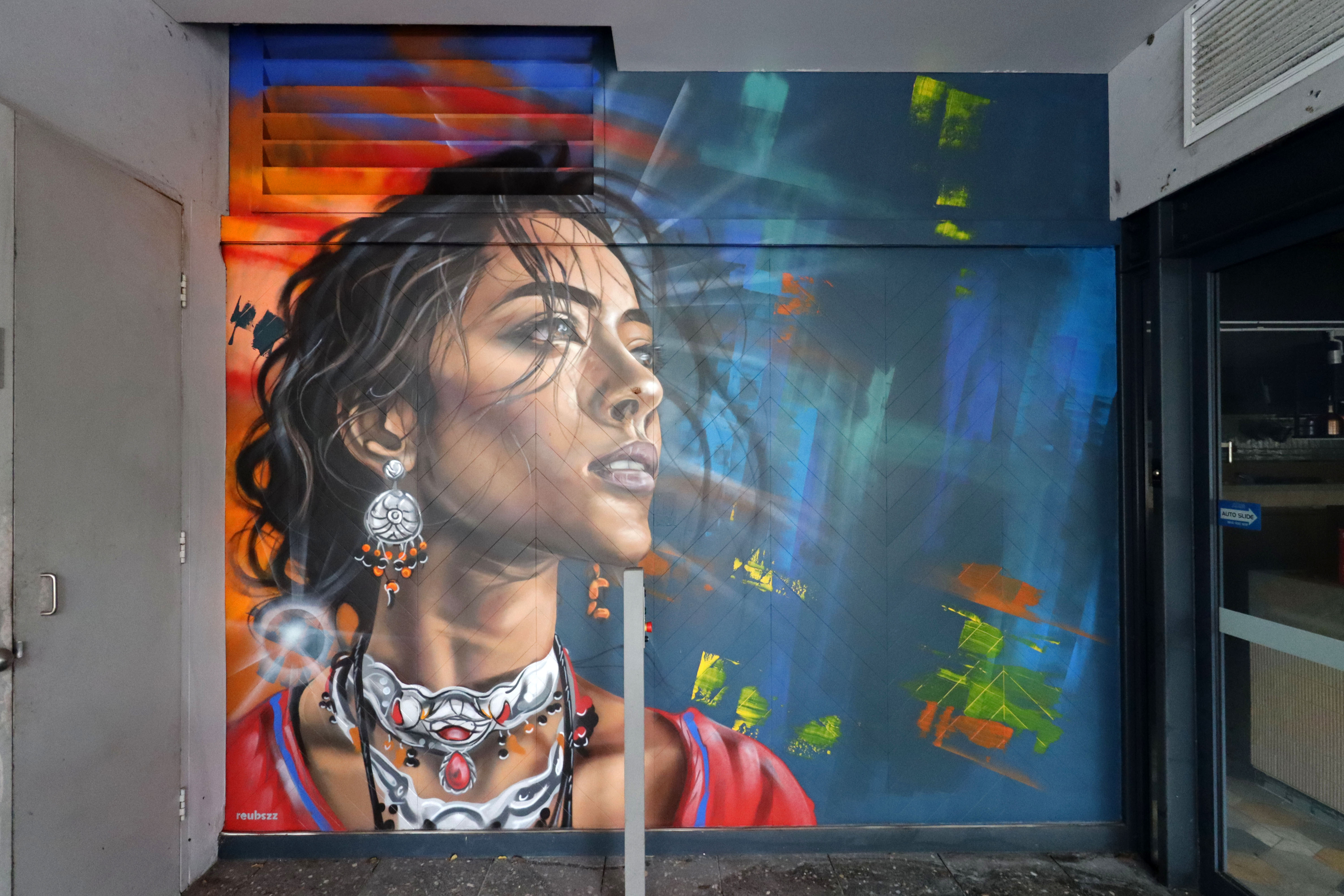 Untitled by Reubszz | Street Art NSW