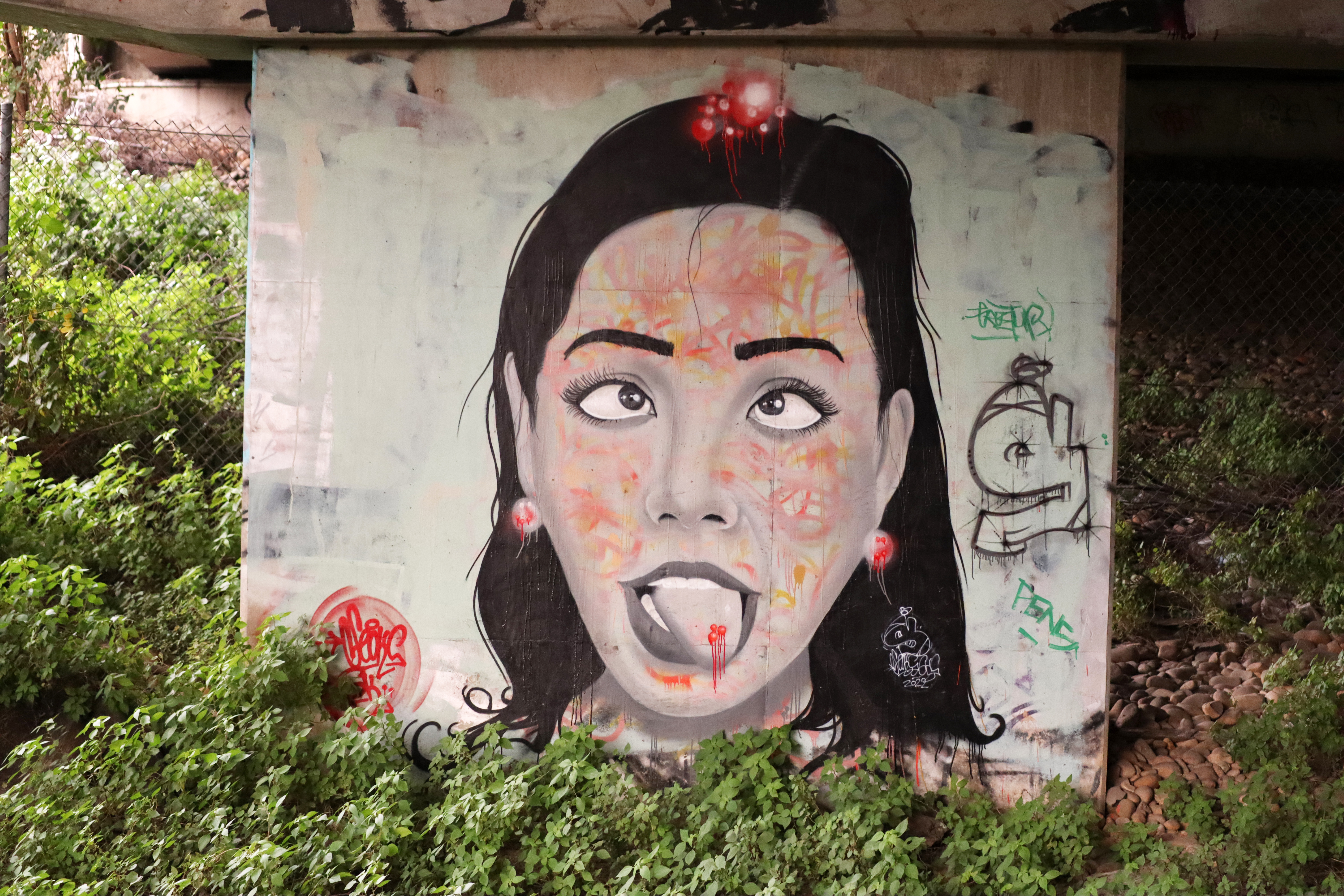 You look dumb... by Seok GKS | Street Art NSW