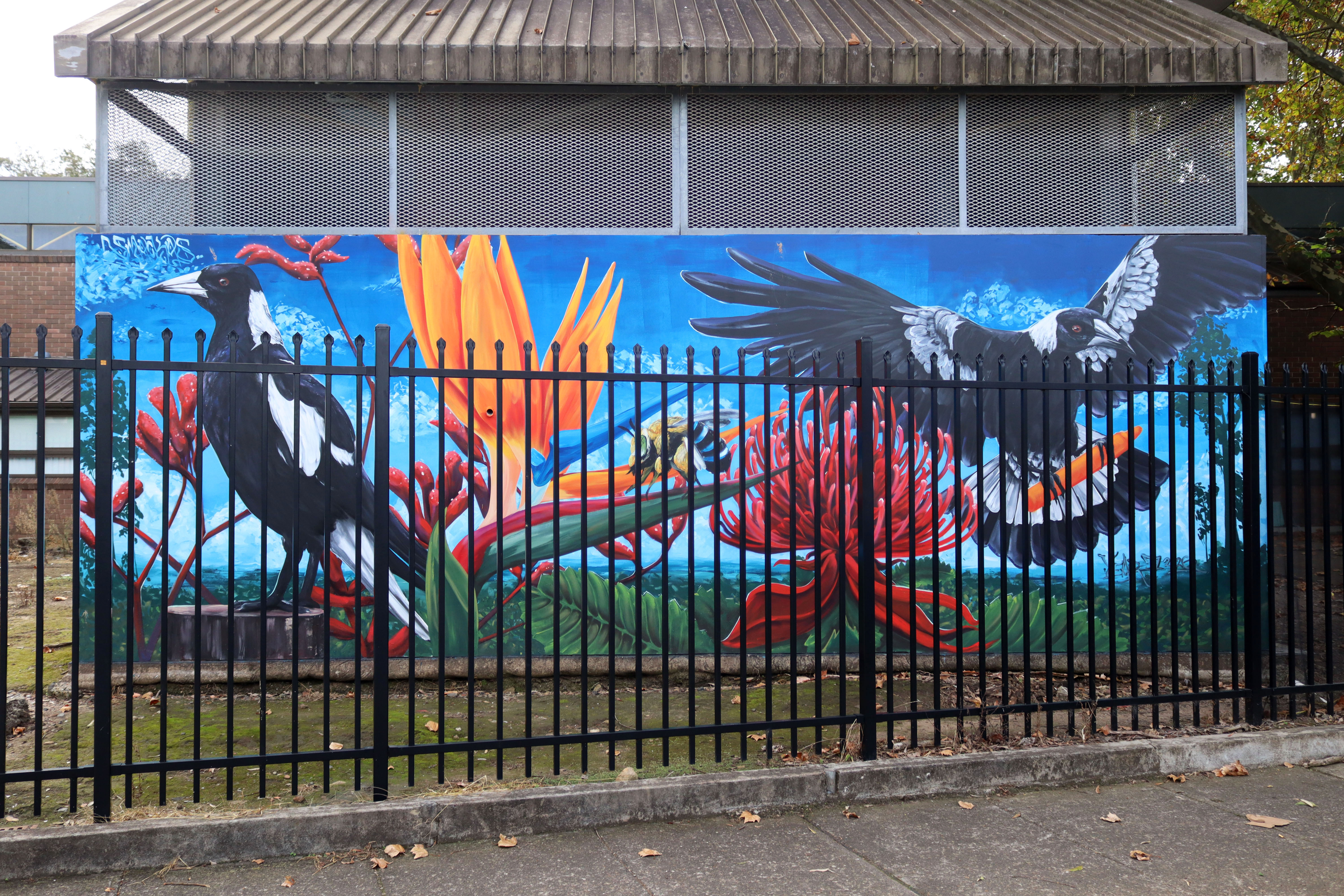 Maggies and a Native Blue Banded Bee by Smackas | Street Art NSW