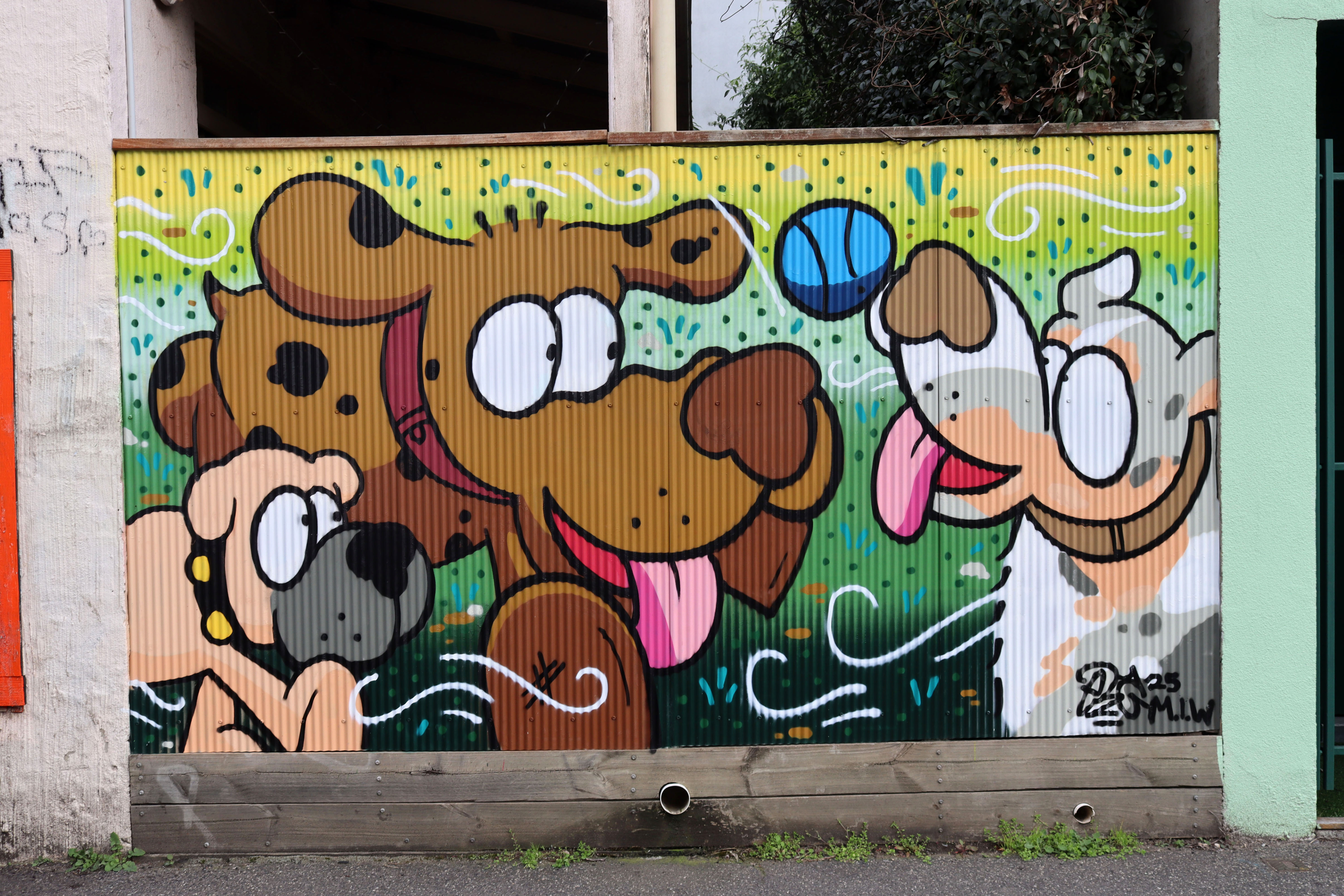 Untitled by Era | Street Art NSW