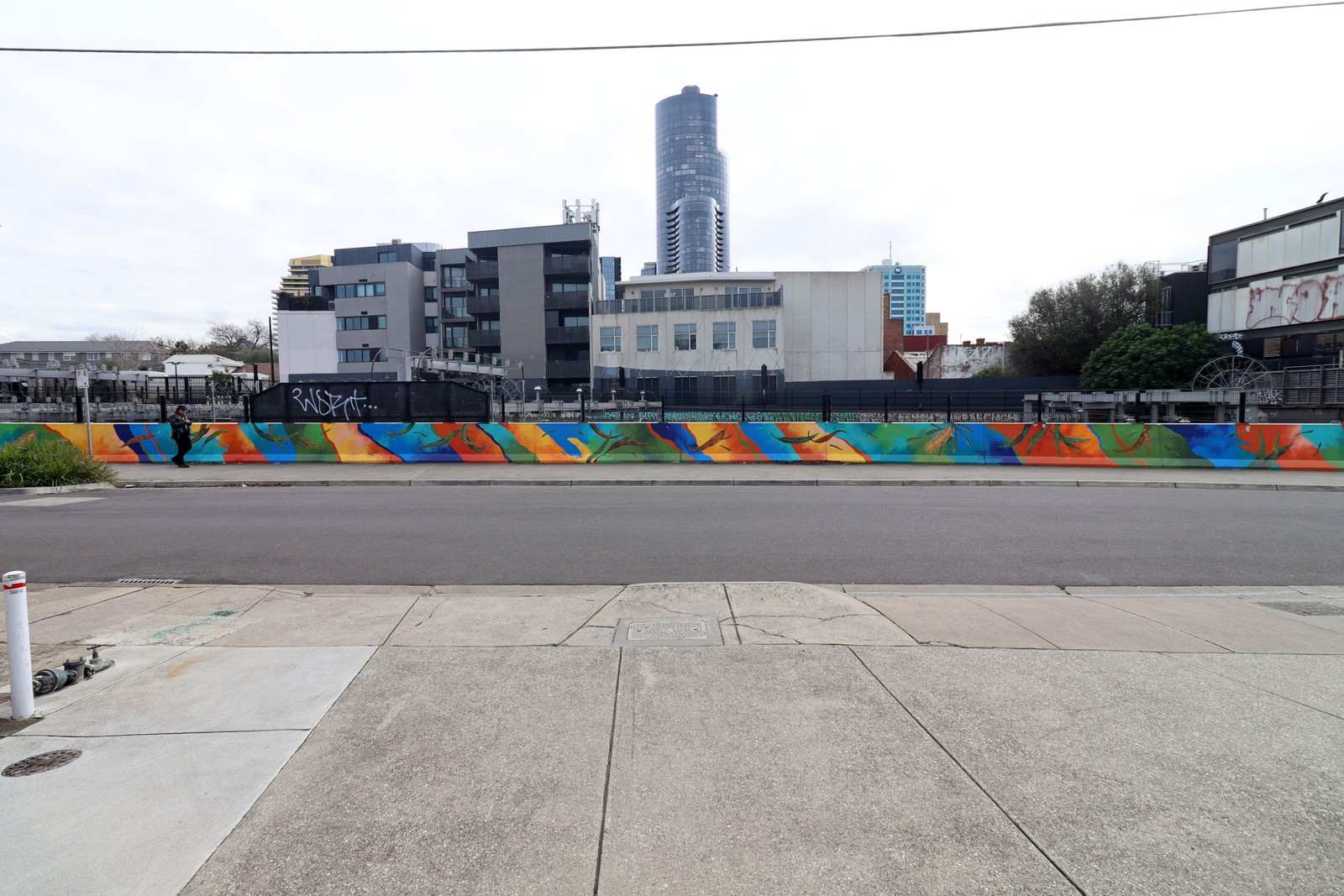Untitled by David 'Meggs' Hooke | Street Art NSW