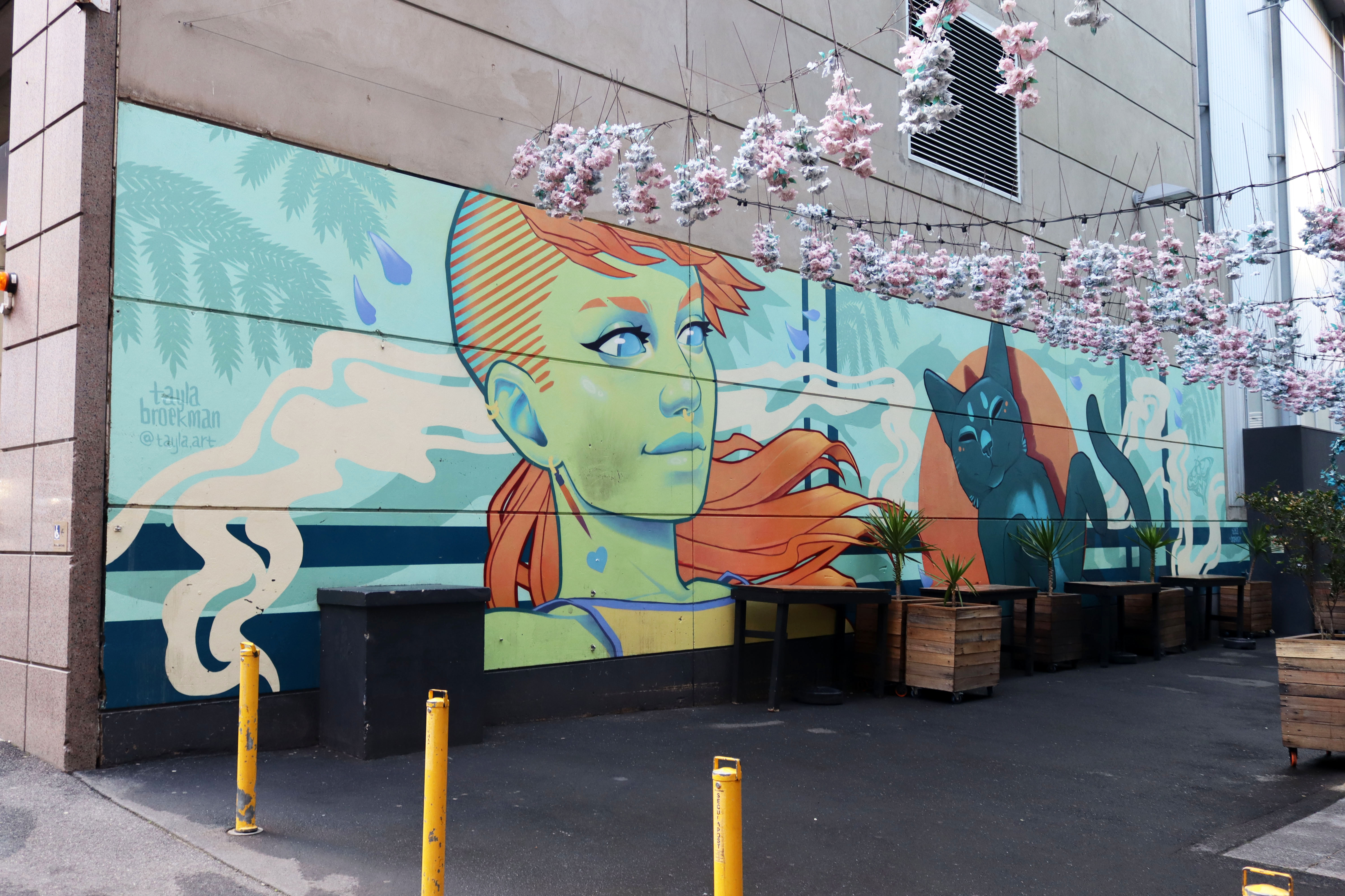 Untitled by Tayla Broekman | Street Art NSW