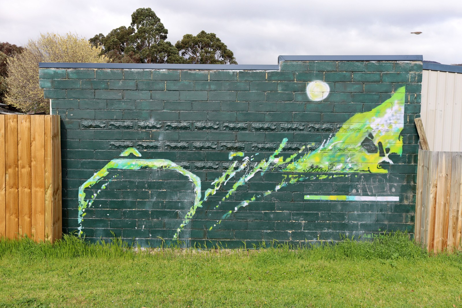 Untitled by Niels Oeltjen | Street Art NSW