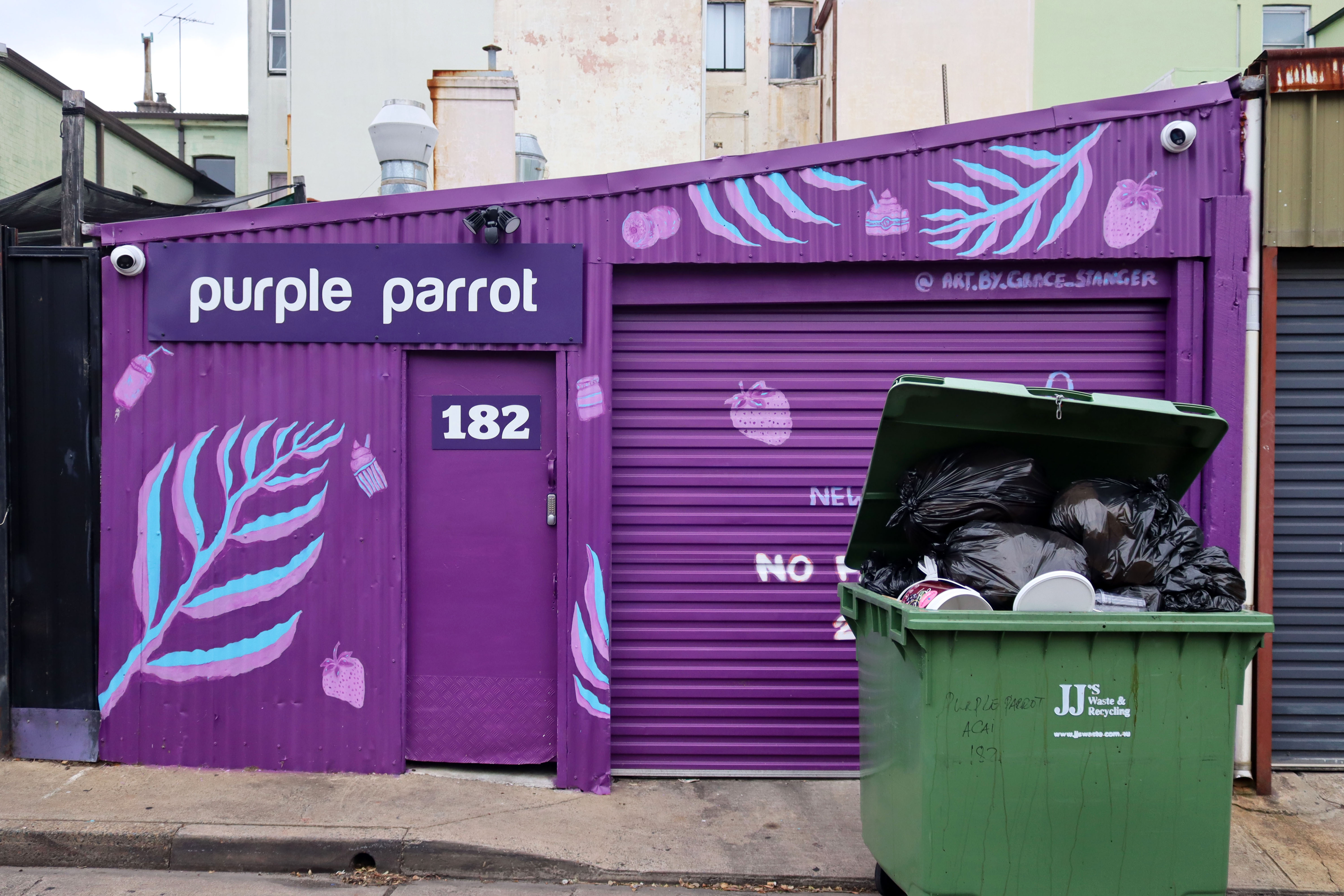Purple Parrot