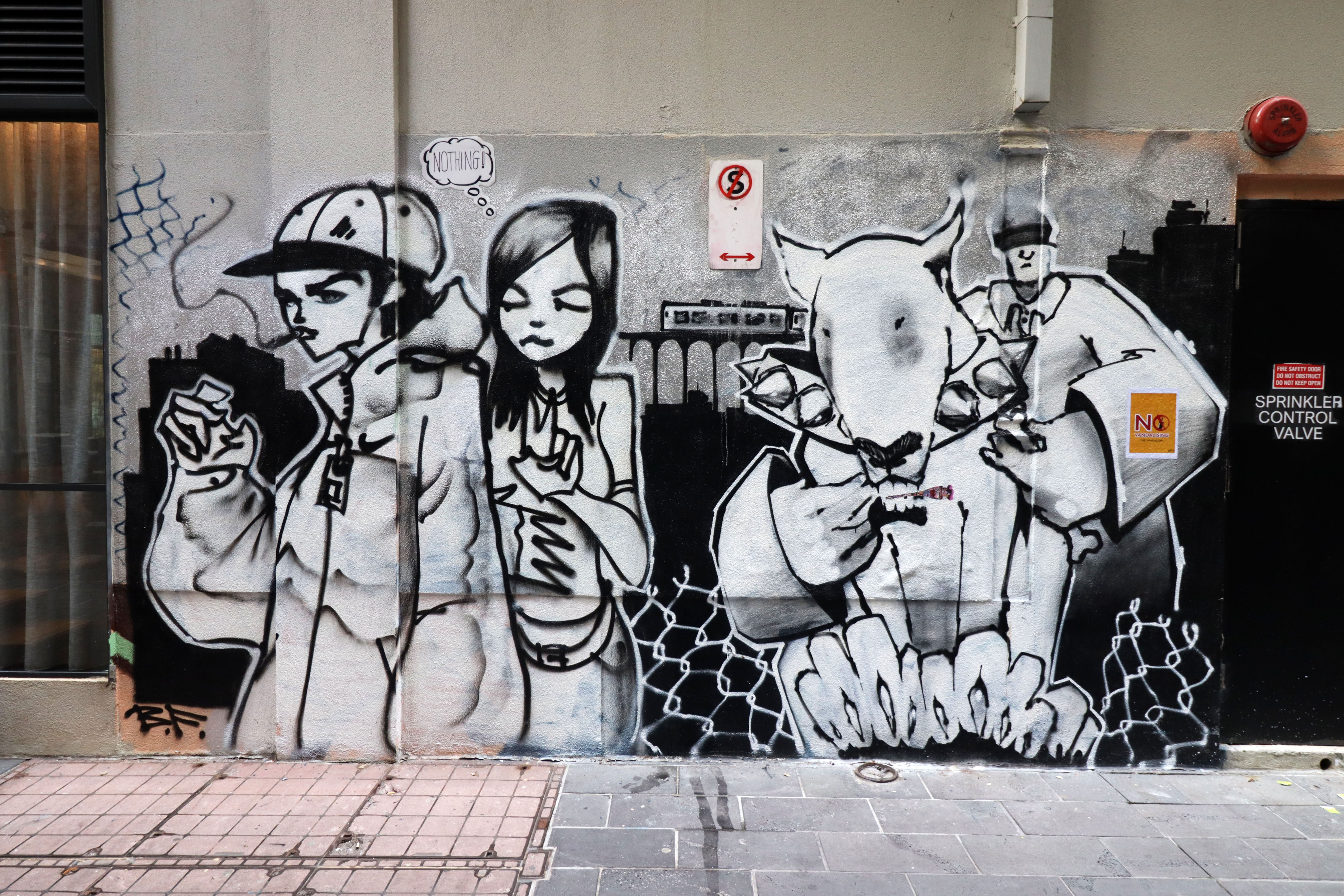 Untitled by Blinker Fluid | Street Art NSW