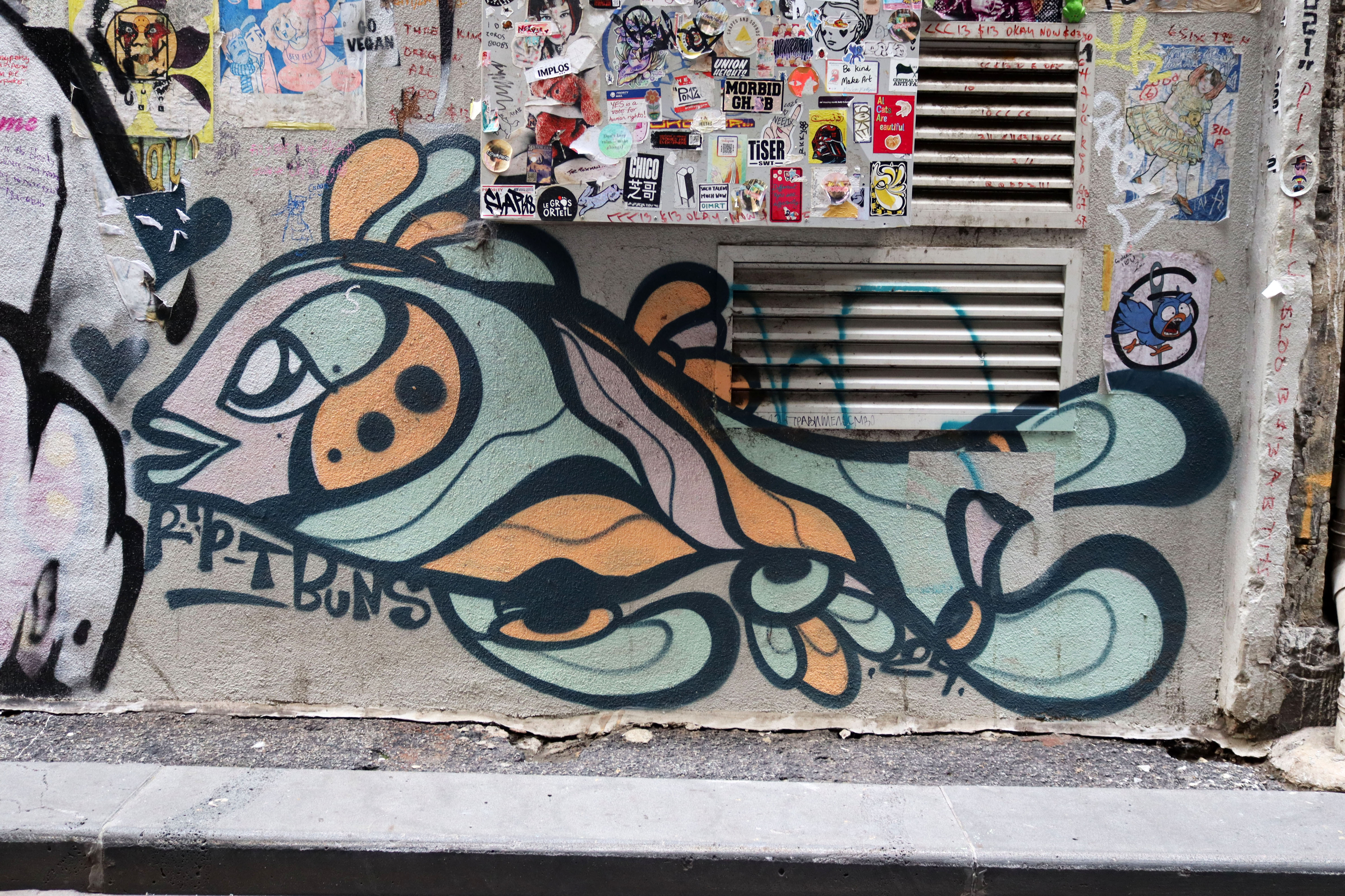 Untitled by Lukas Kasper | Street Art NSW