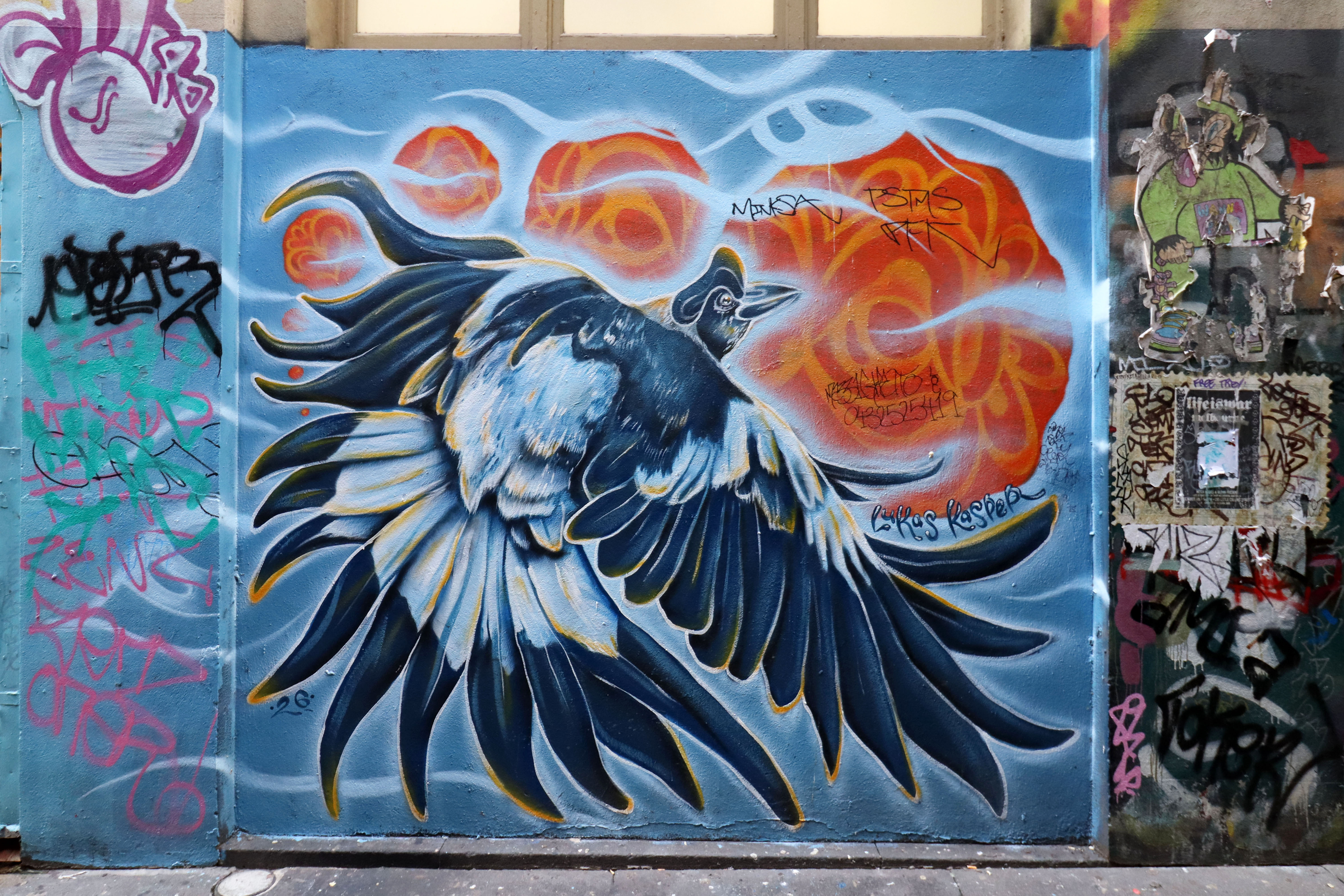 Blue Maggie by Lukas Kasper | Street Art NSW