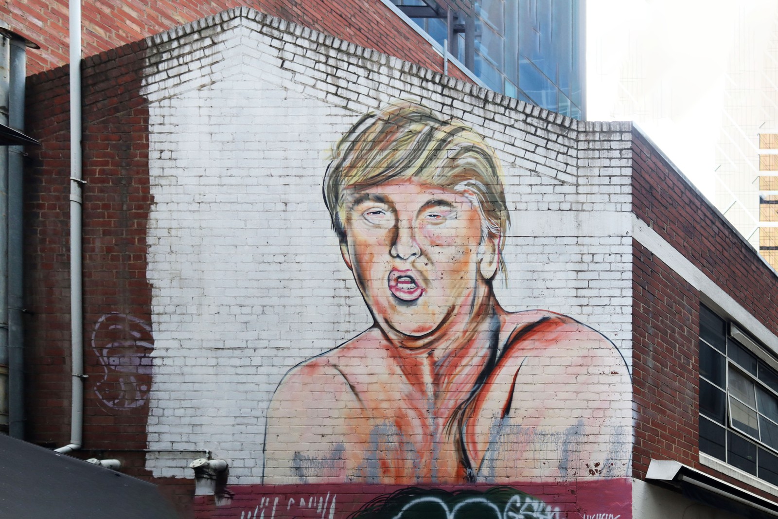 The Dongald by Lushsux | Street Art NSW