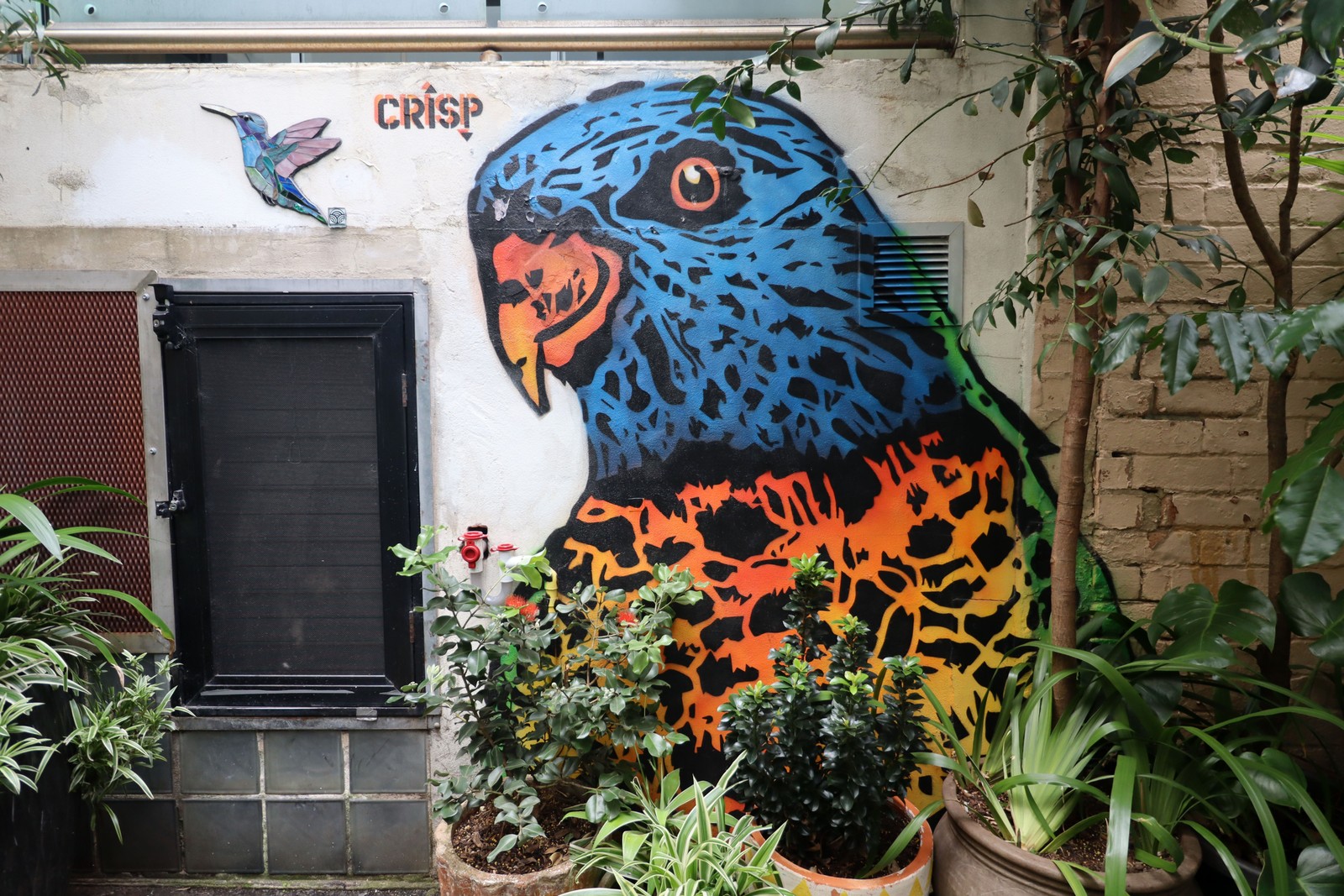 Rainbow Lorikeet by Crisp | Street Art NSW