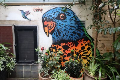 Rainbow Lorikeet