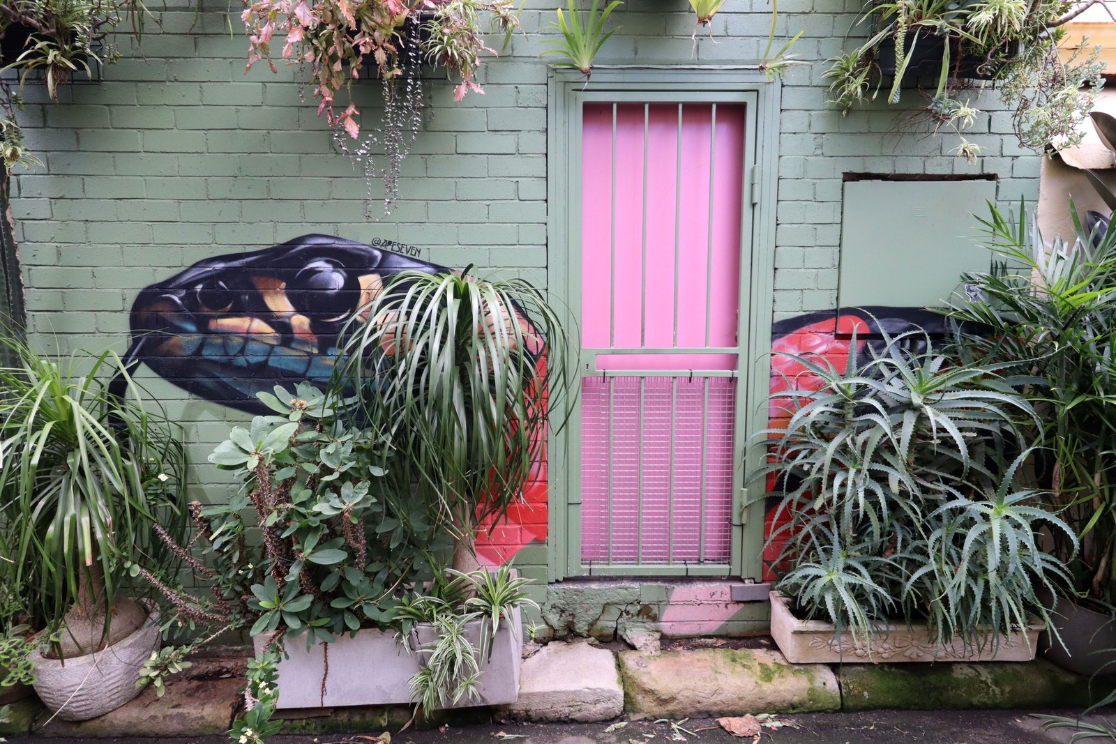 Caroline by Apeseven | Street Art NSW
