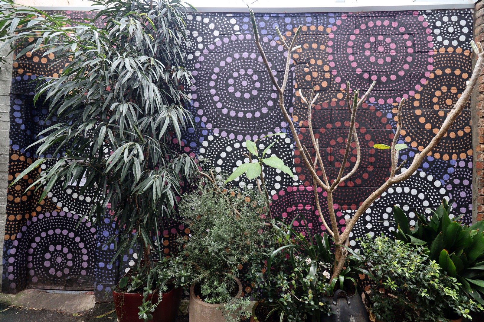 Untitled by Saltwater Dreamtime | Street Art NSW