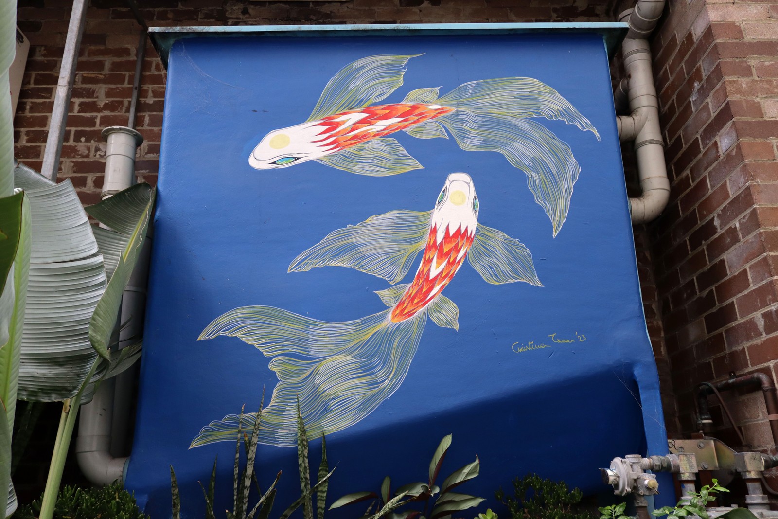 Towards Blooming by Christina Tsaou | Street Art NSW