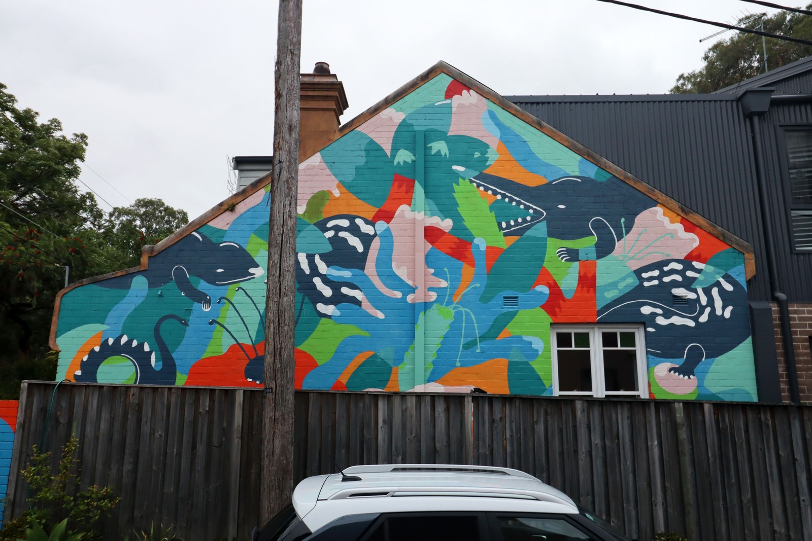 Untitled by Studio Dennis | Street Art NSW