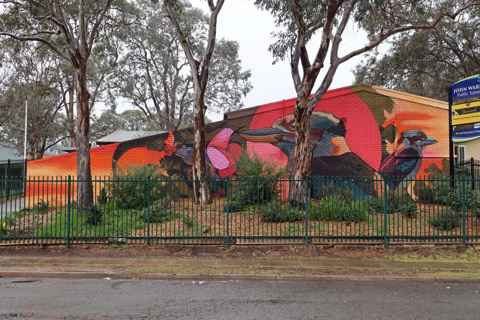 Sunset Kookaburra by Muralisto | Street Art NSW