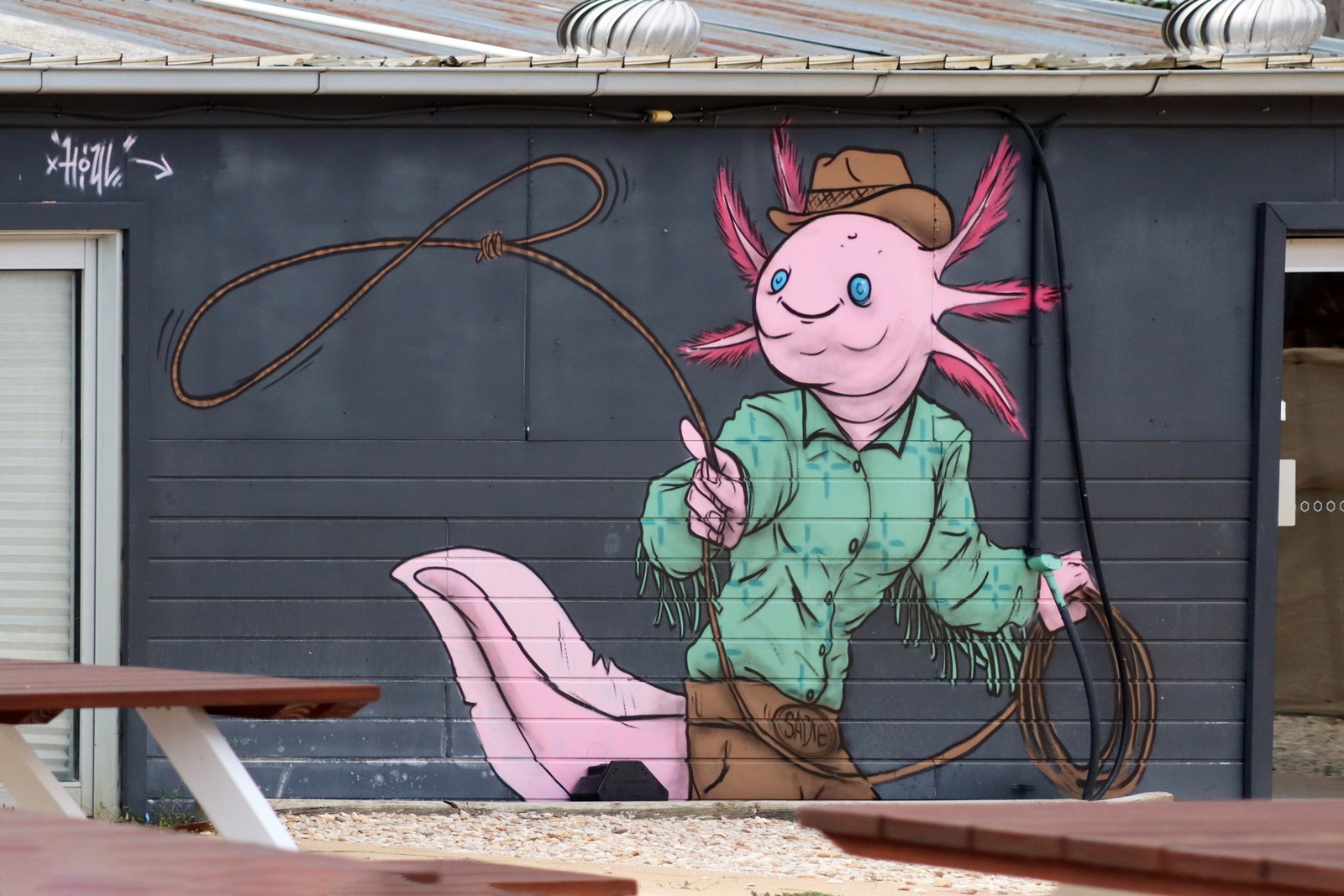 Axolotl Cowgirl by Houl | Street Art NSW