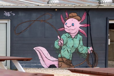 Axolotl Cowgirl