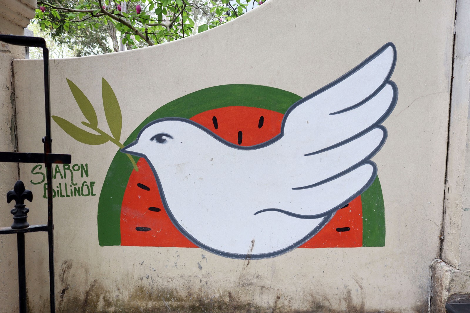 Mini Dove by Sharon Billinge | Street Art NSW