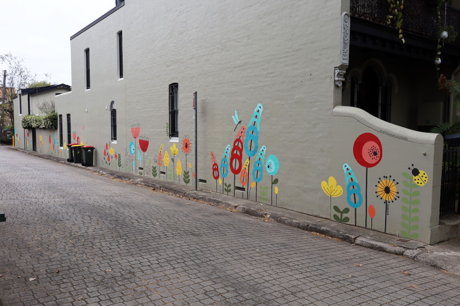 Newtown Wallflowers by Jeni Oye | Street Art NSW