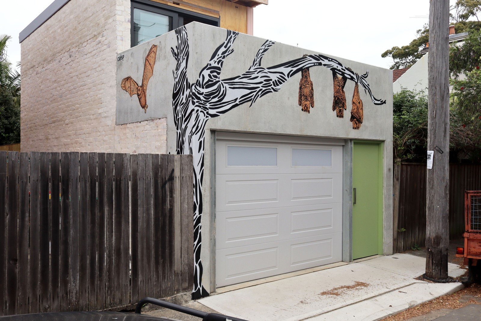 Bats by Crisp | Street Art NSW